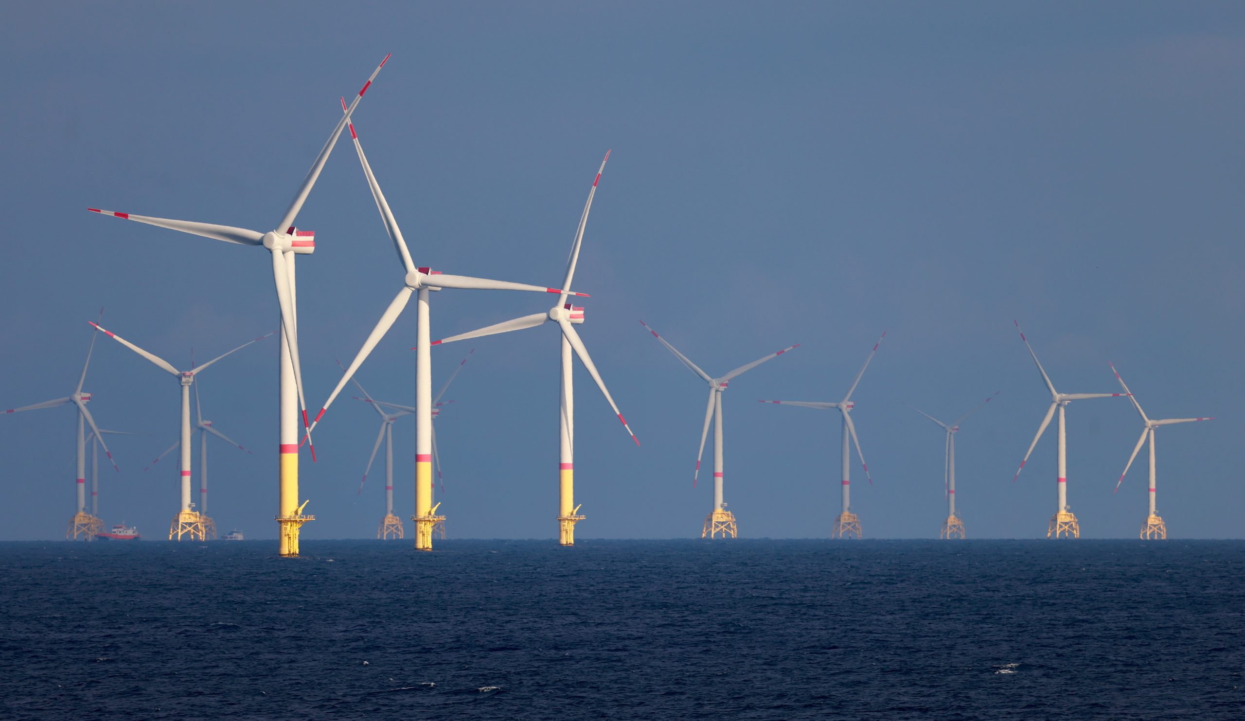 Pescadores revoltados exigem respeito e diálogo sobre eólicas ‘offshore’