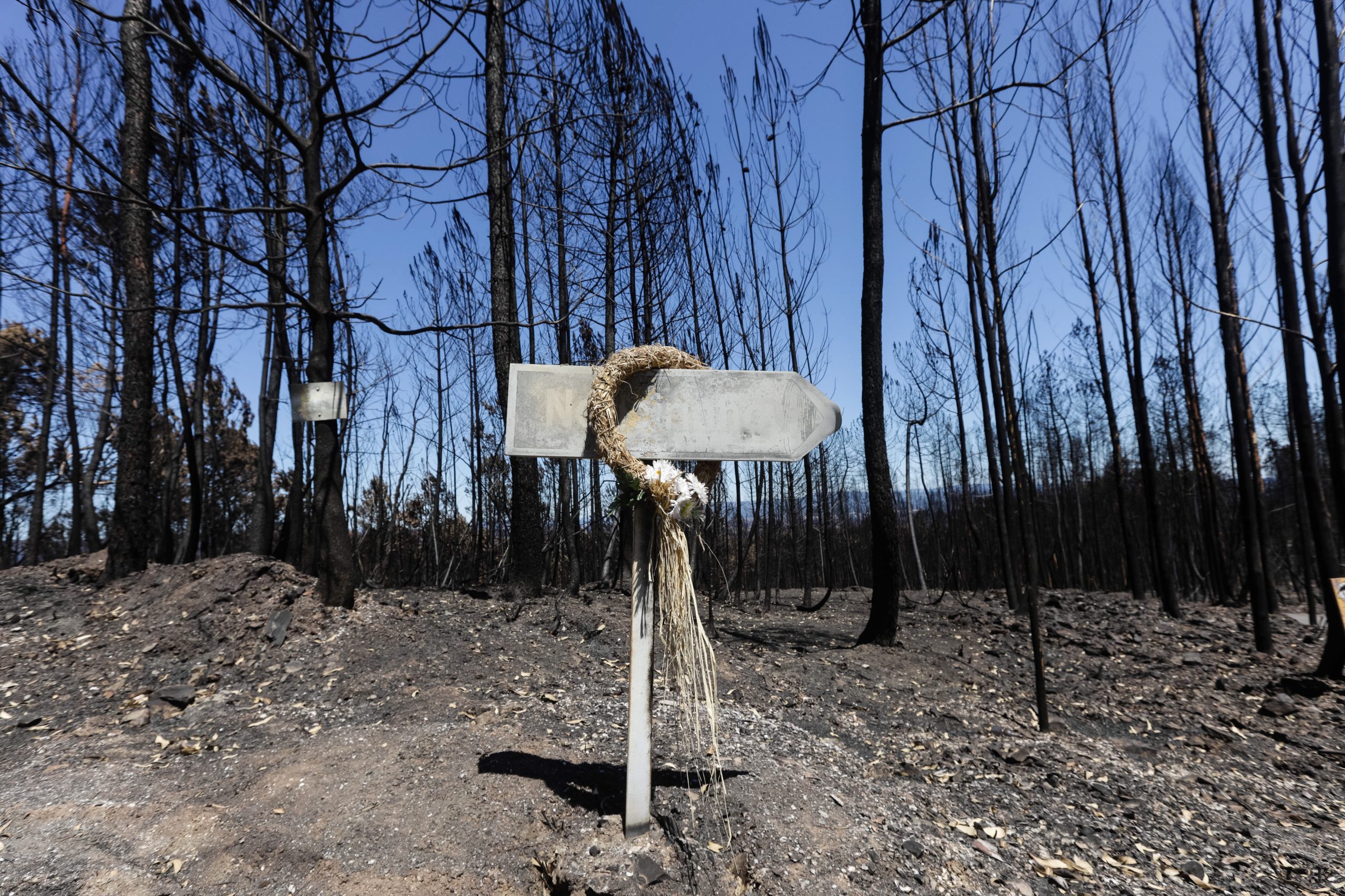 Pedrógão Grande: Pais de bombeiro que morreu relatam vegetação lastimável na EN 236-1