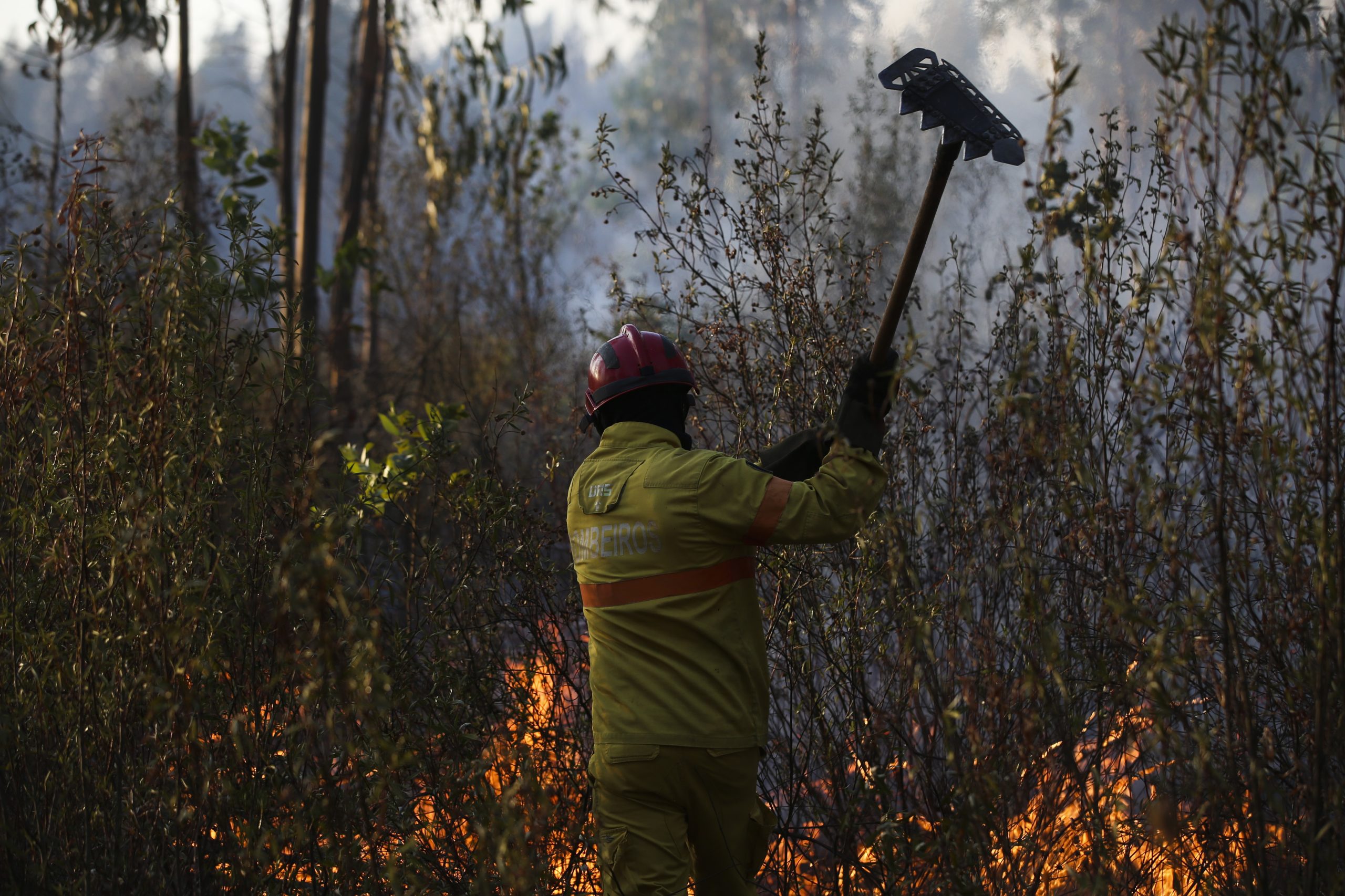 Principais causas dos incêndios em 2021? Uso negligente e fogo posto