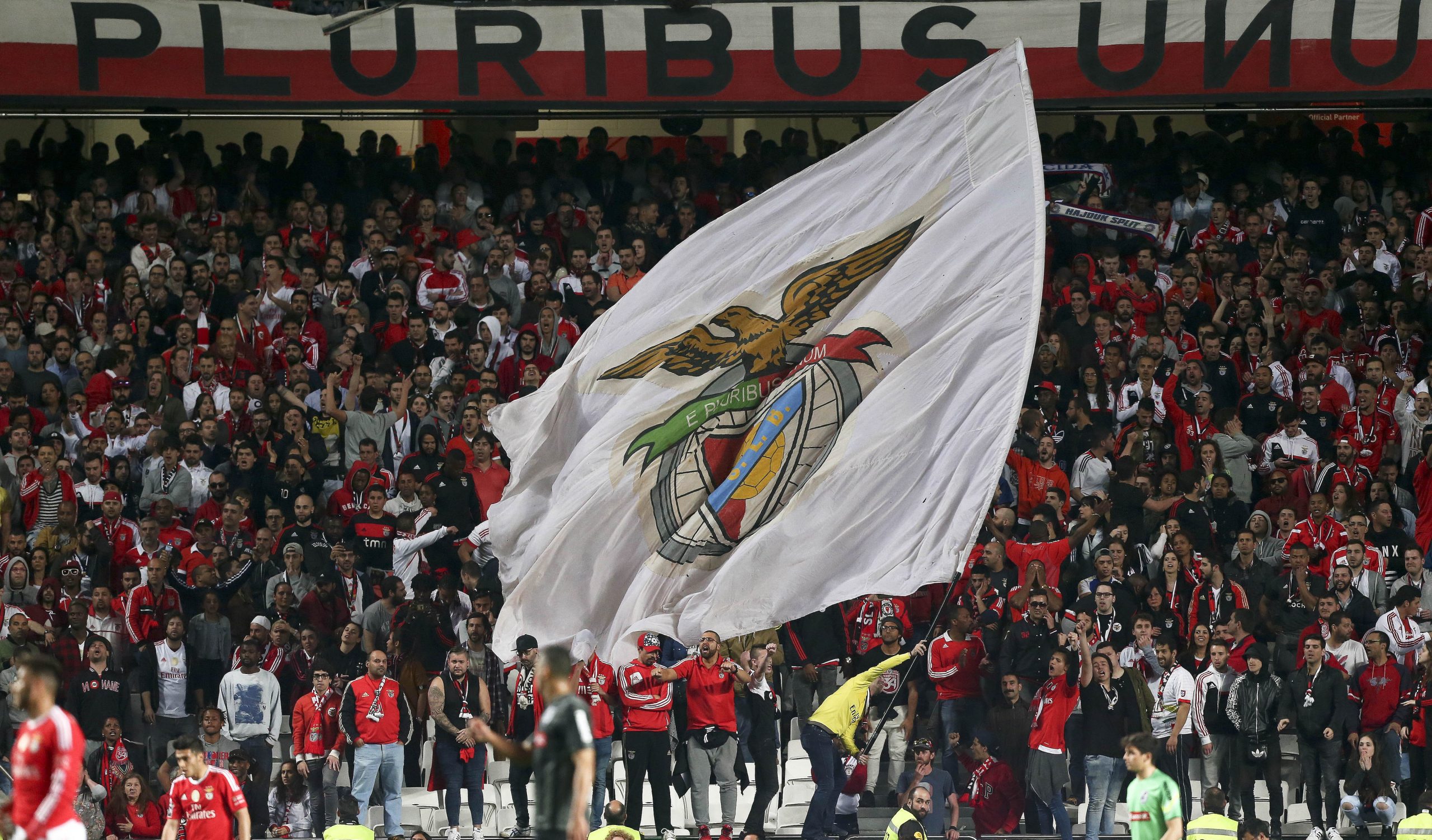 João Amaral não acredita num Benfica “fragilizado” mas lembra que adversário “não é invencível”