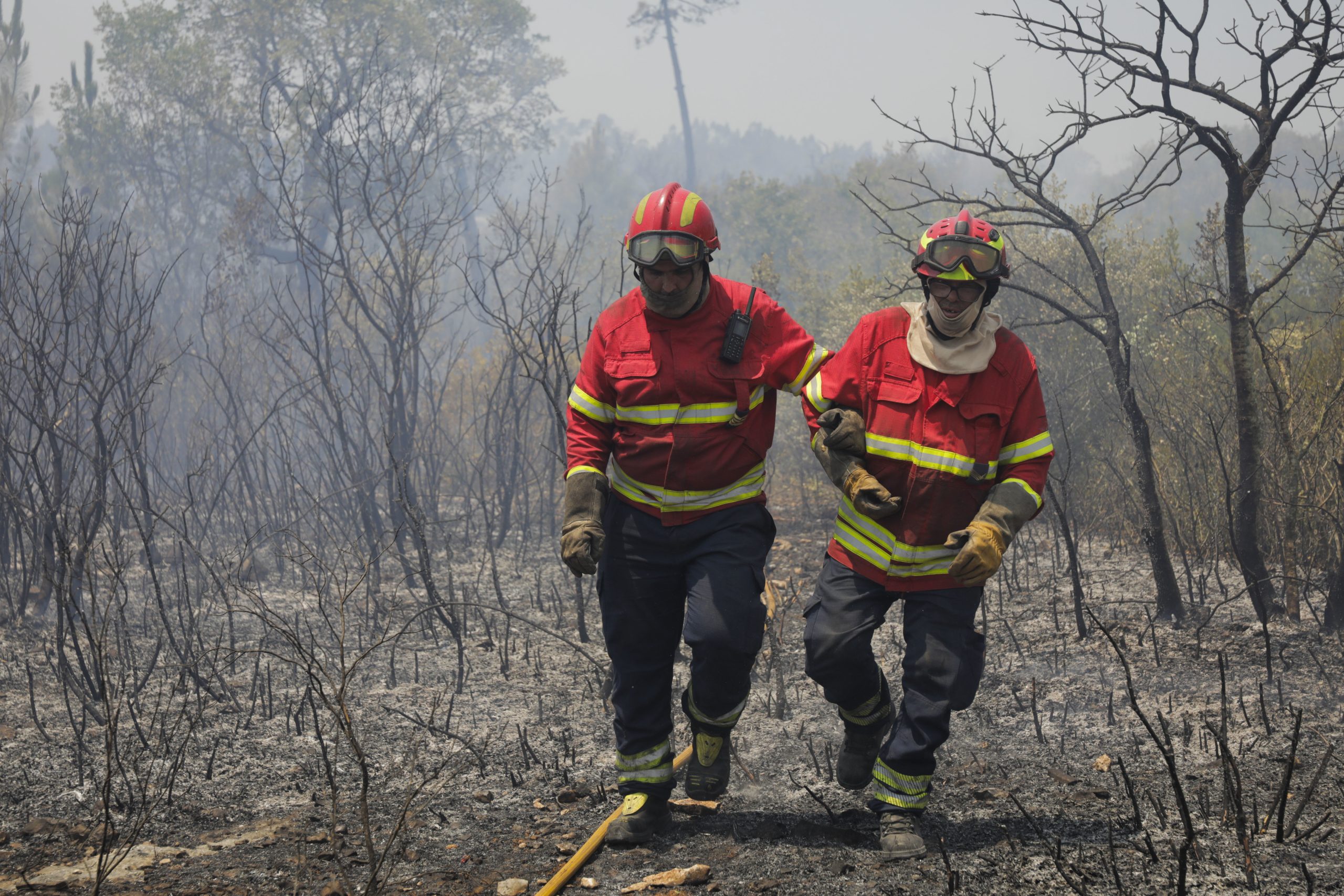Homem de 33 anos constituído arguido por incêndio florestal em Mirandela