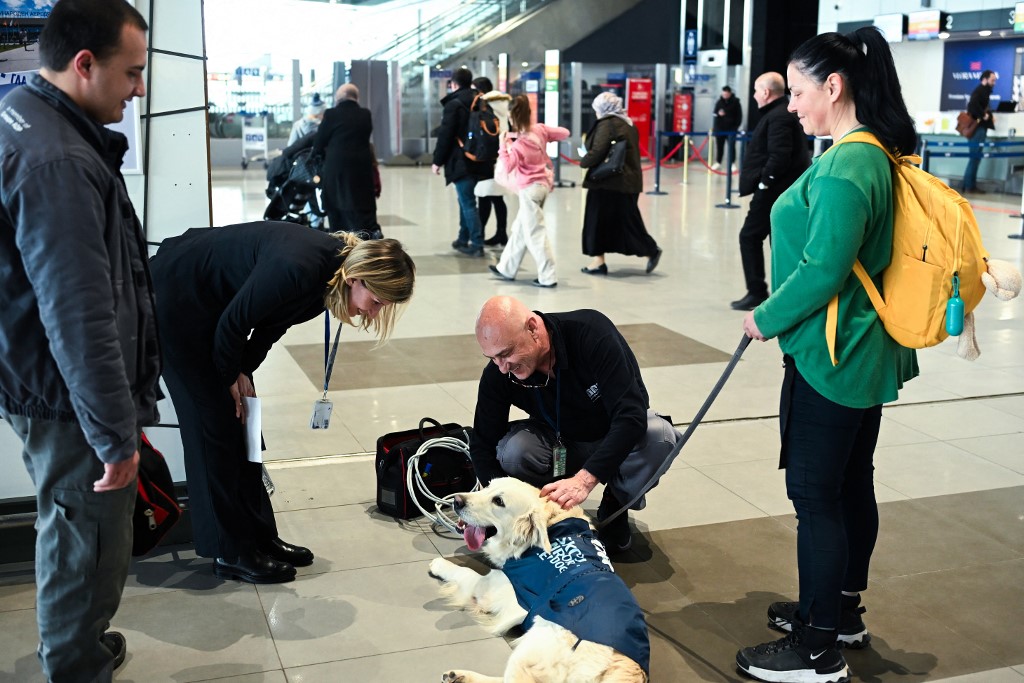 Medo de voar? O aeroporto de Skopje arranjou Dino, um retriever, para animar os passageiros mais assustados