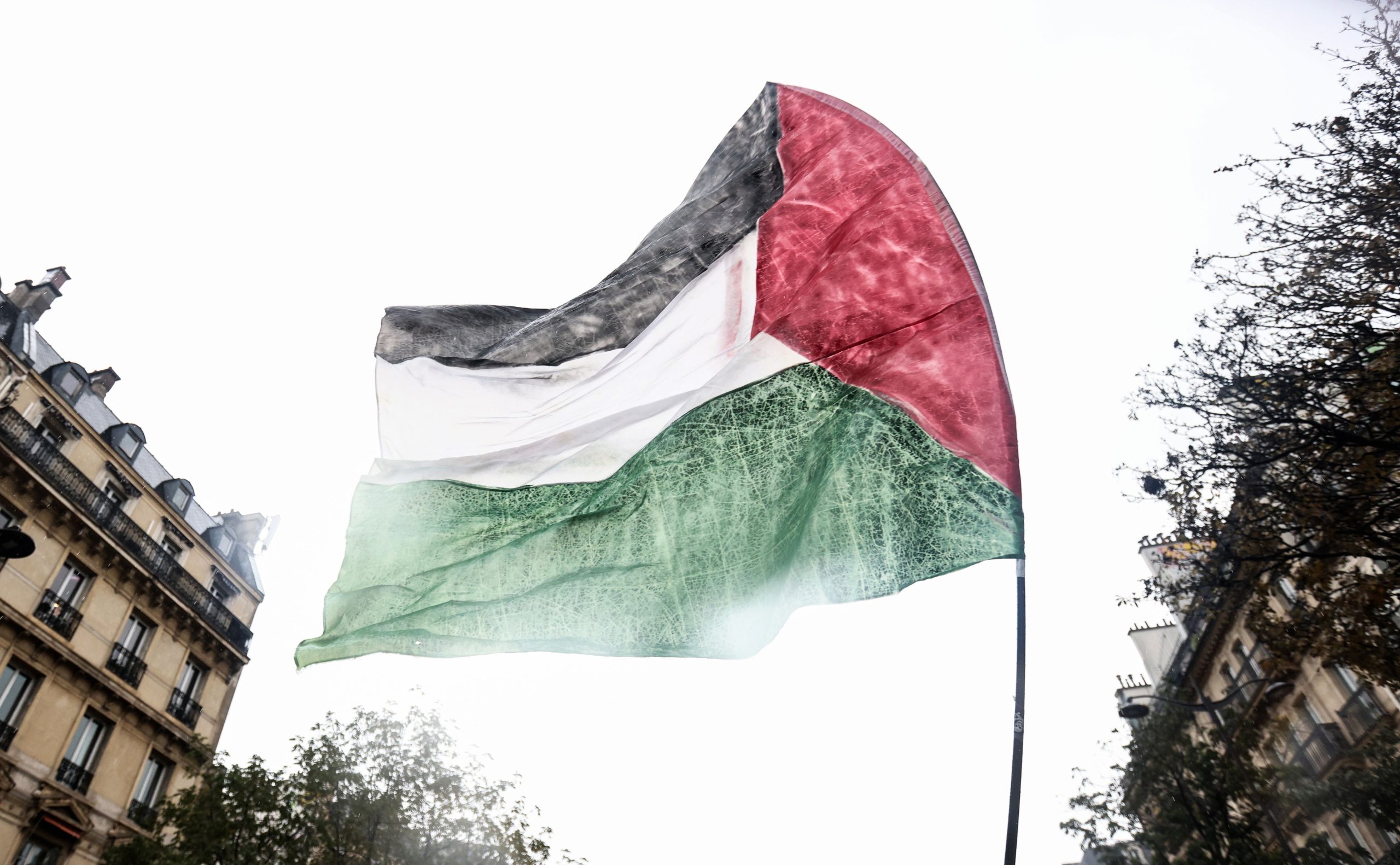 Milhares de franceses manifestam-se em apoio ao povo de Gaza