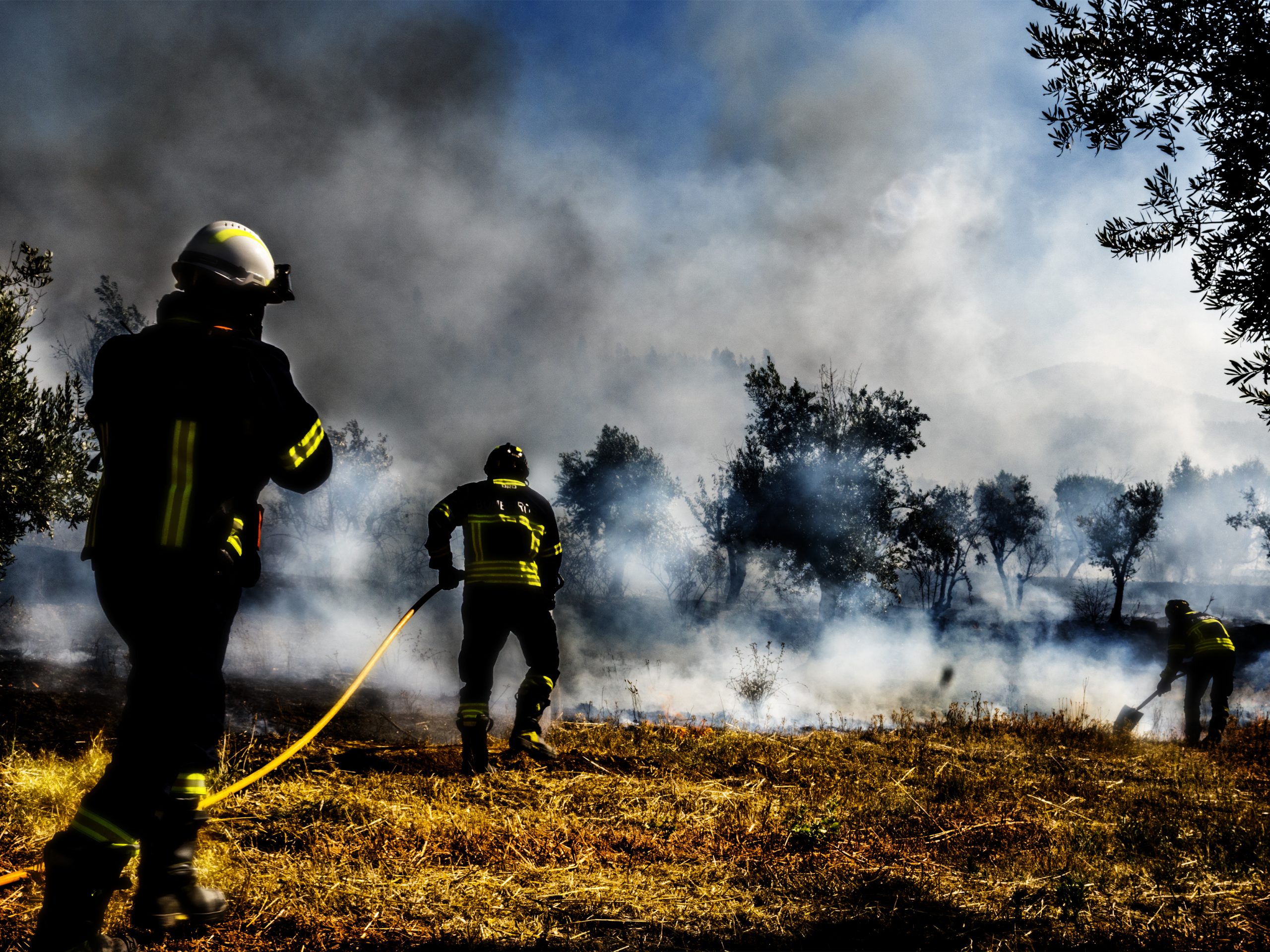 Fogo em Castelo de Paiva em resolução