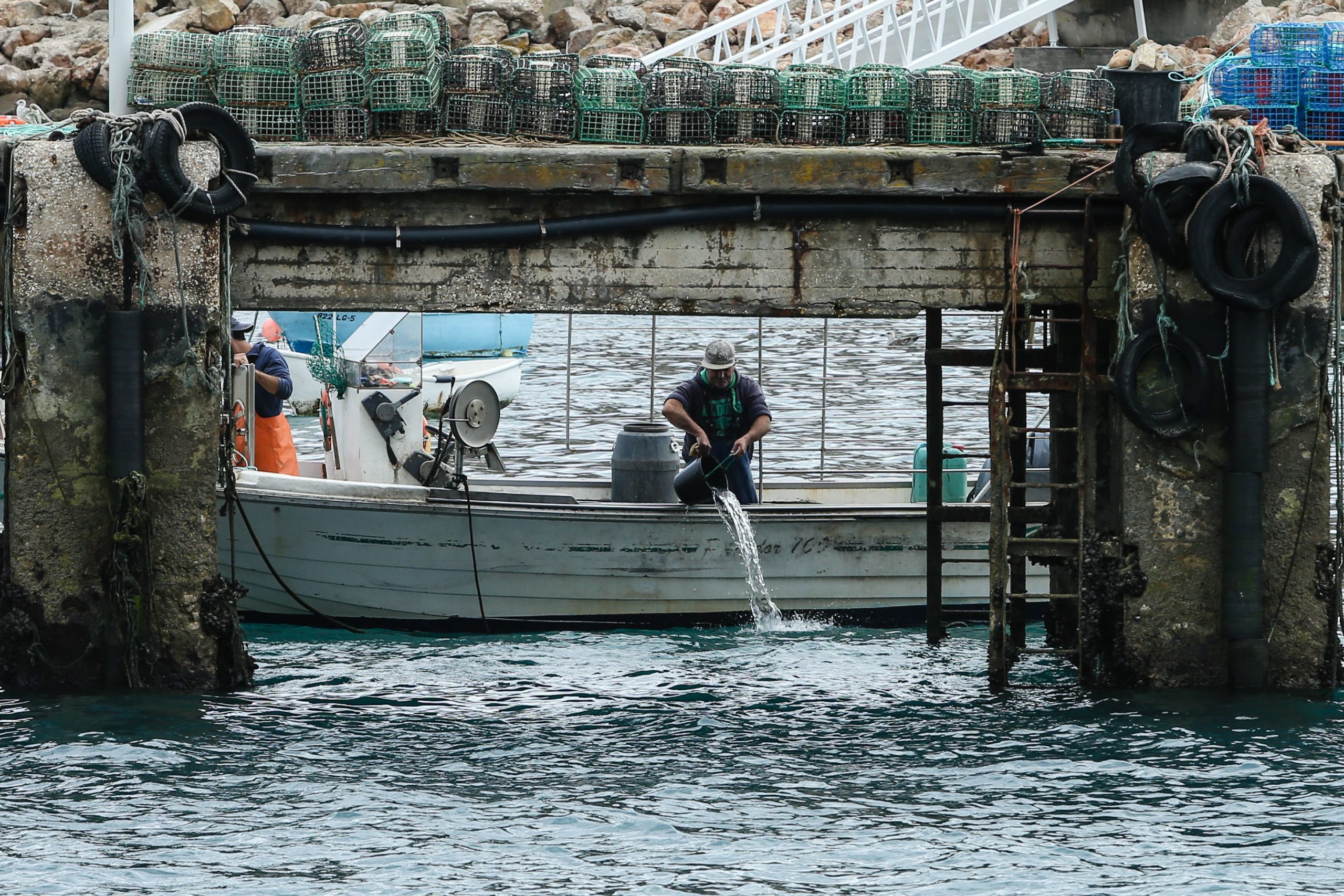 Docapesca anuncia “valor histórico” de 212,3 milhões de euros em pescado transacionado em lota  em 2019