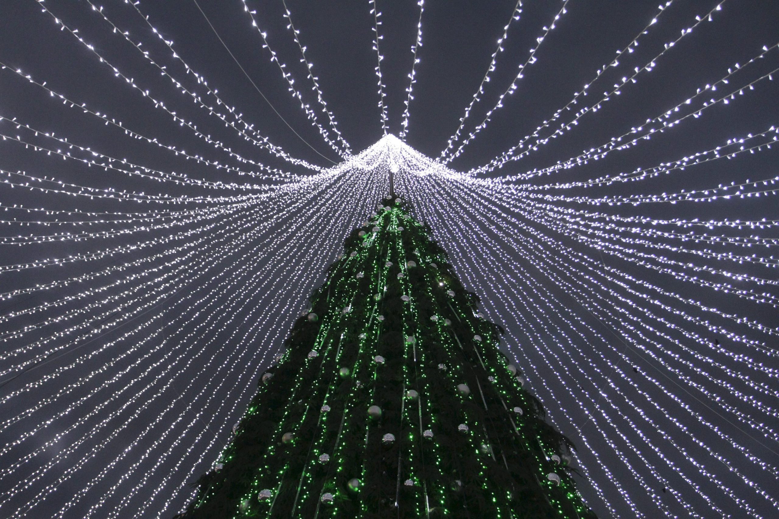 Árvore de Natal com 34 metros de altura regressa aos Aliados no Porto