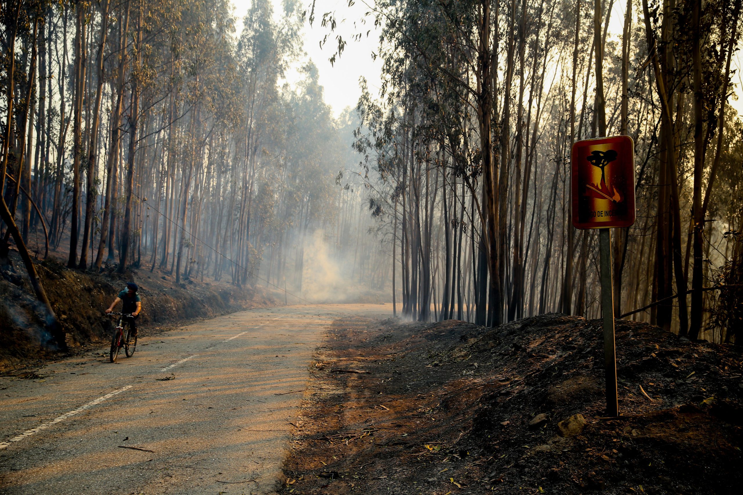 Incêndios em Portugal chamam a atenção dos meios de comunicação internacionais