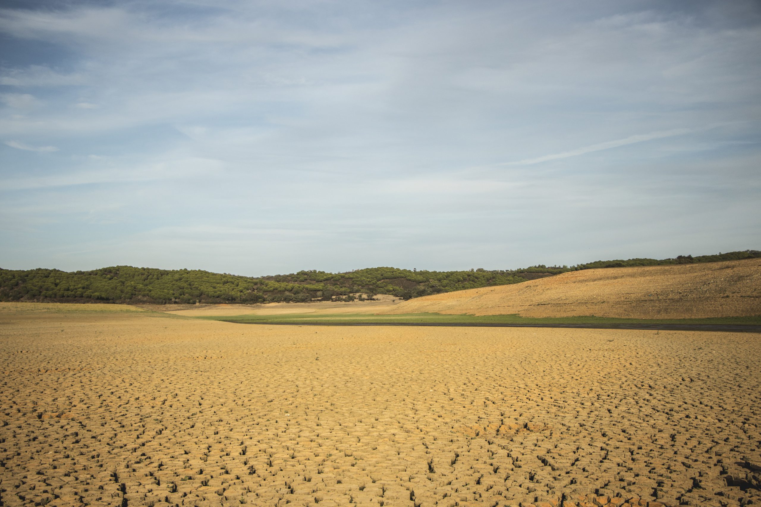 Seca. Produtores de arroz de Alcácer do Sal receiam não poder cultivar em 2018