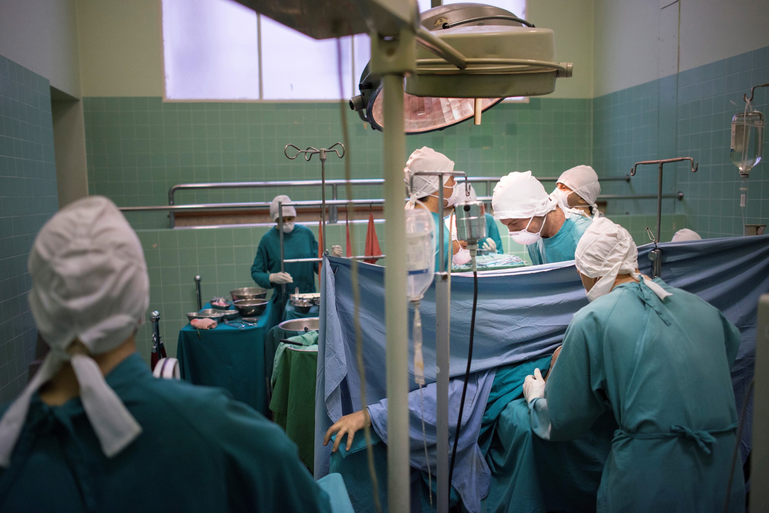 Cientistas anunciam sucesso de transplante de rins de porco para corpo humano