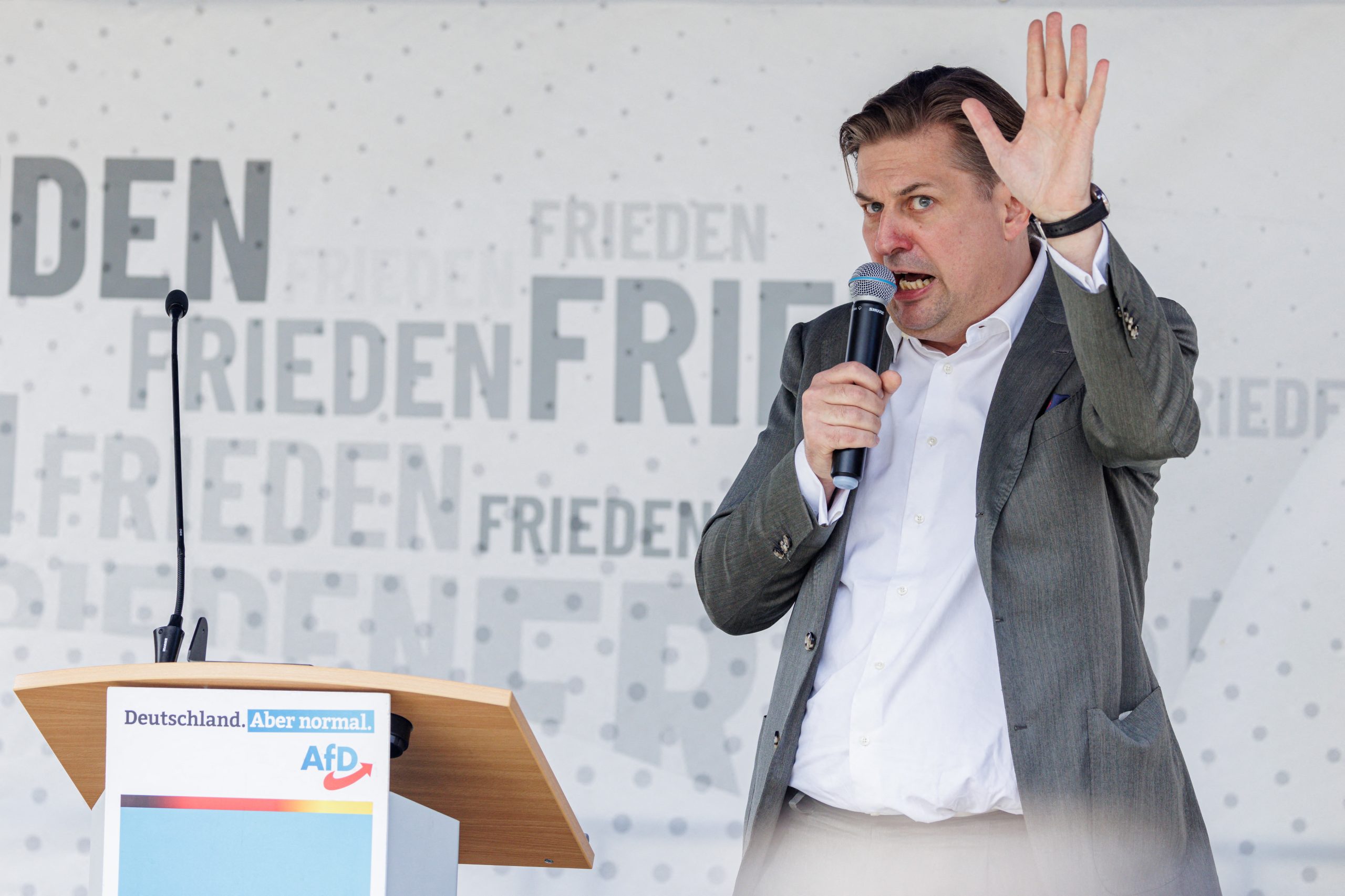 AfD deixa cair candidato a Bruxelas e Le Pen corta relações com aliados alemães. O que aconteceu na extrema-direita europeia?