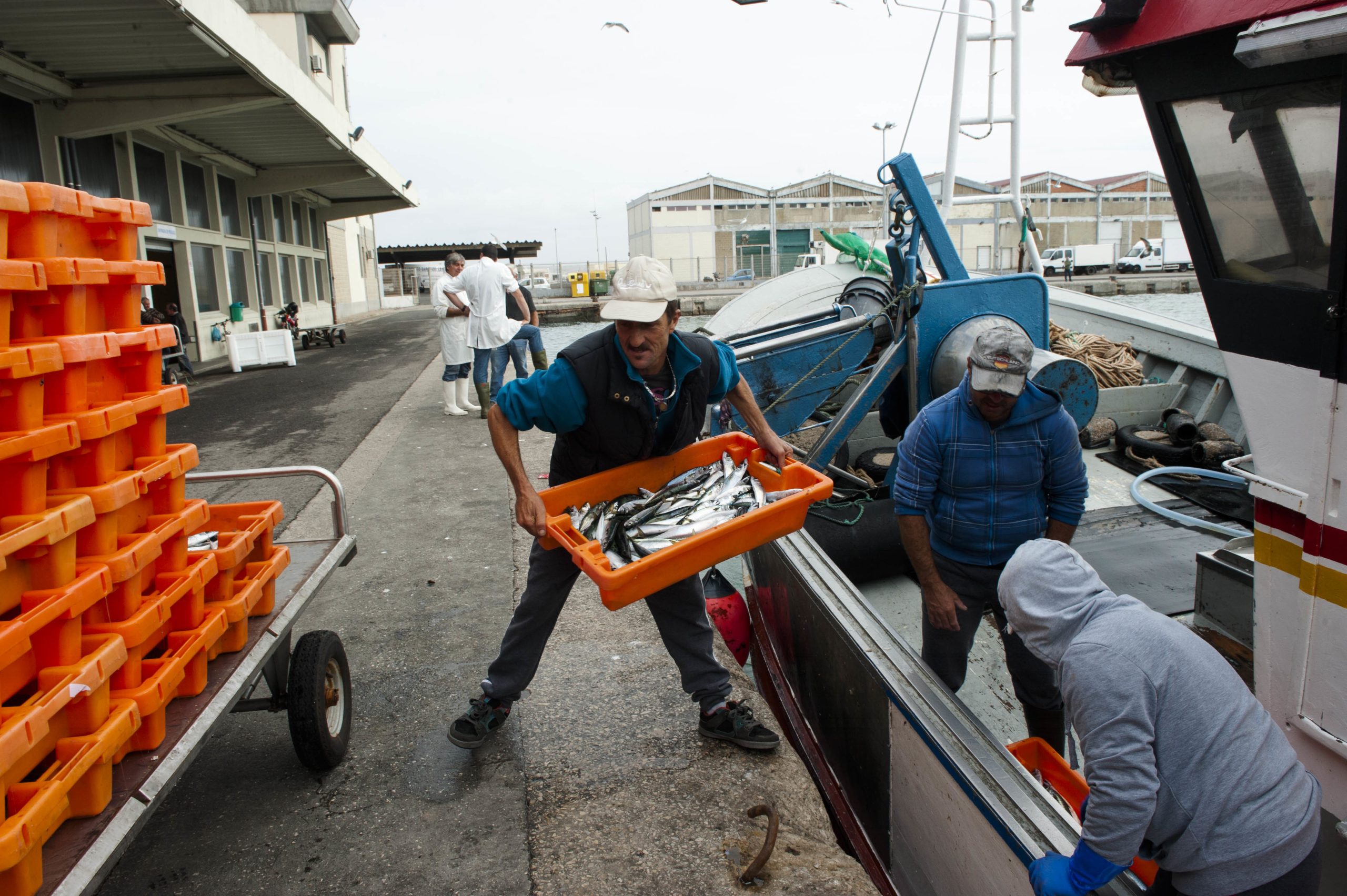 Ministros da Pescas da União Europeia chegam a acordo para capturas em 2022
