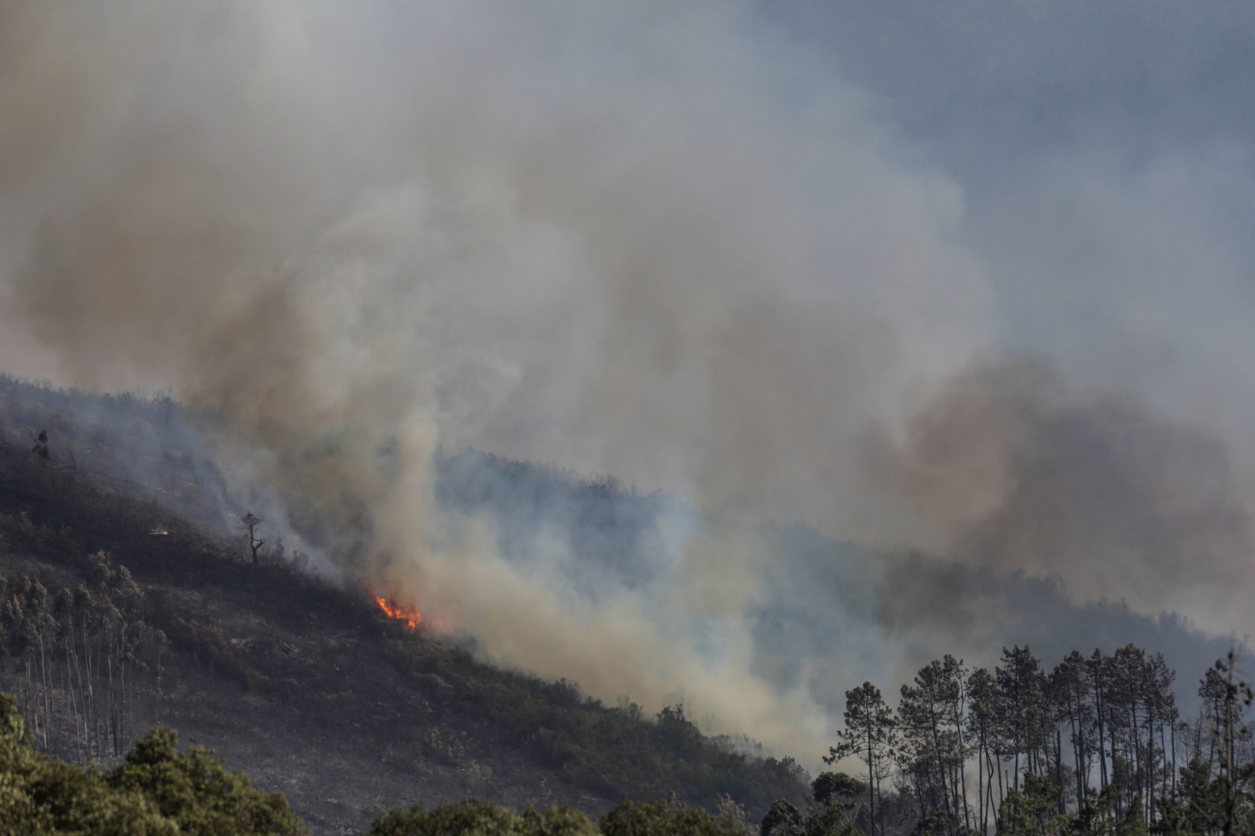 PJ deteve suspeito de provocar três incêndios na cidade de Vila Real