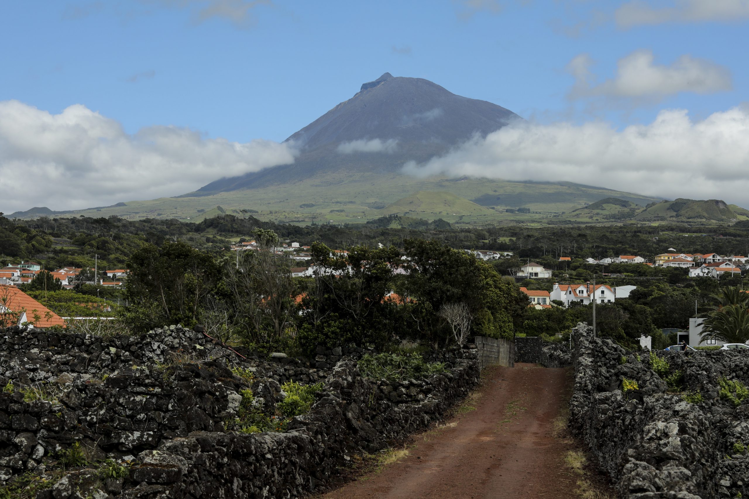 Açores com mais um caso de Covid-19 em São Miguel e uma recuperação no Pico