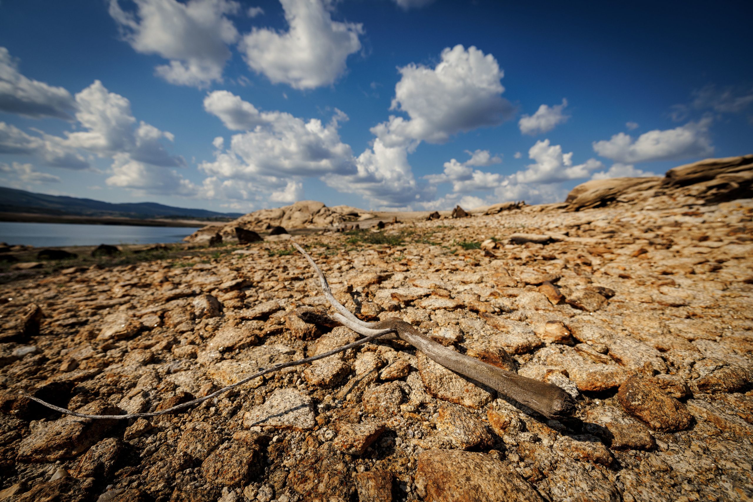 Quase todo o território do Baixo Alentejo está suscetível à desertificação devido às alterações climáticas e uso intensivo dos solos
