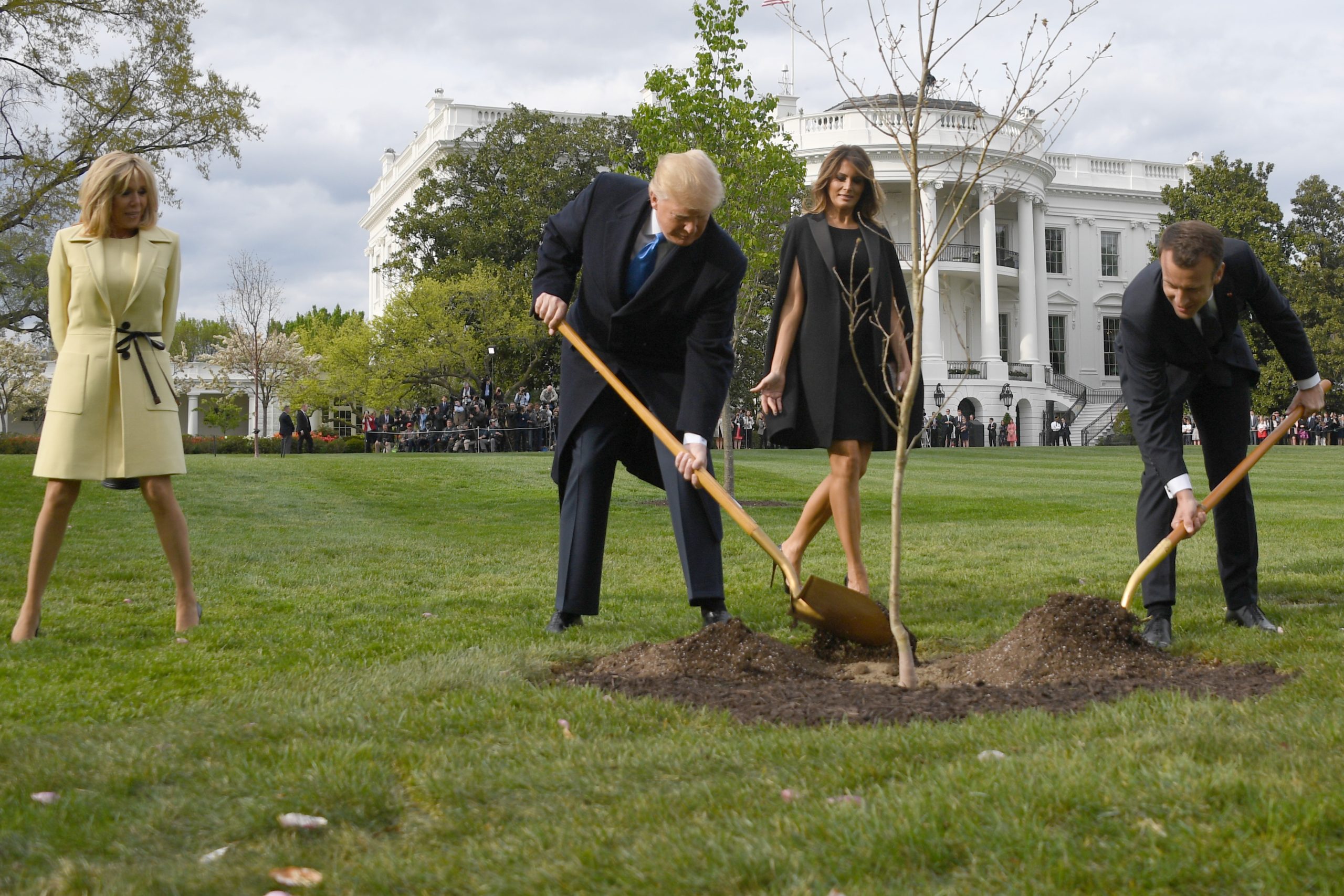 Árvore plantada por Trump e Macron como sinal de amizade não resistiu e morreu