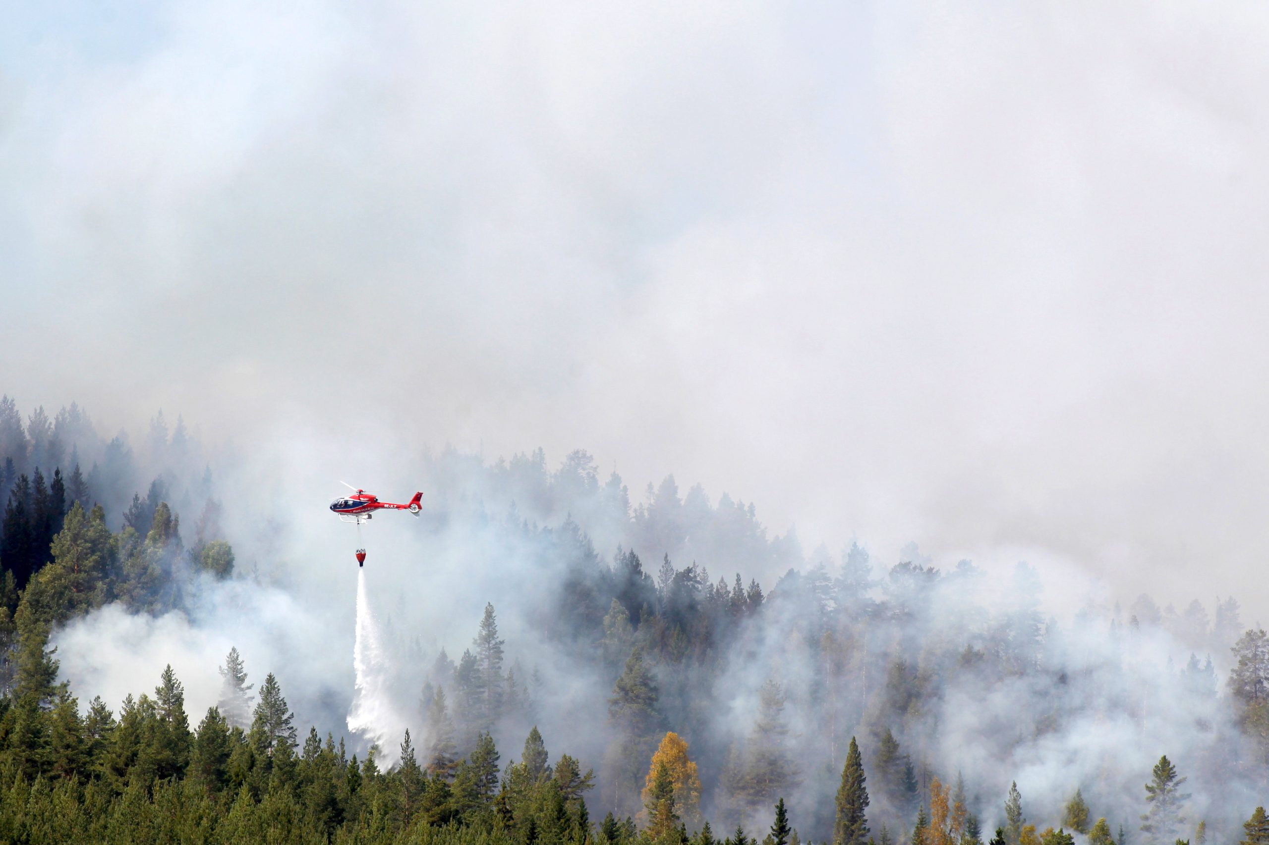 Suécia pede ajuda à União Europeia para combater fogos florestais