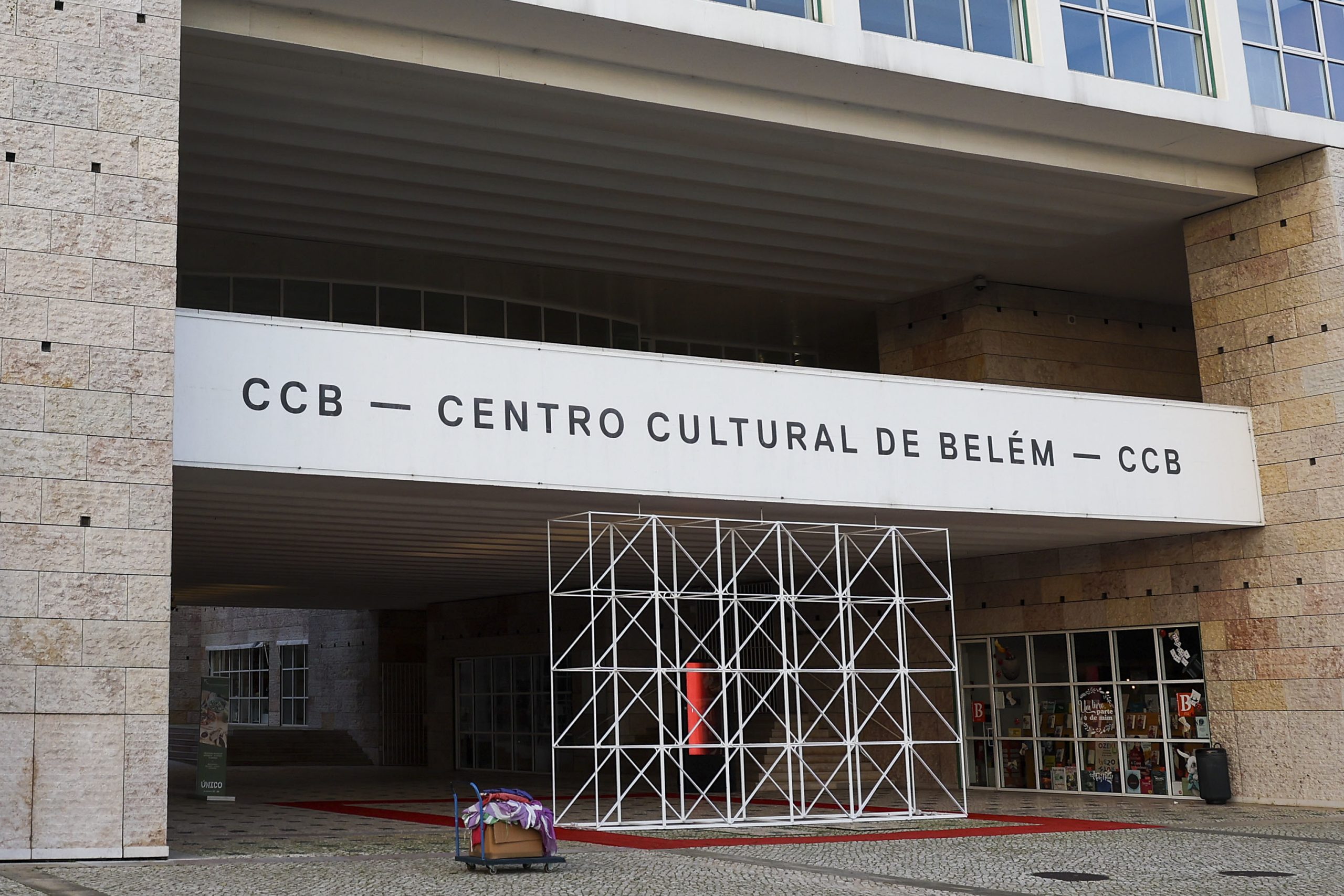 Francisca Carneiro Fernandes é a nova presidente do CCB