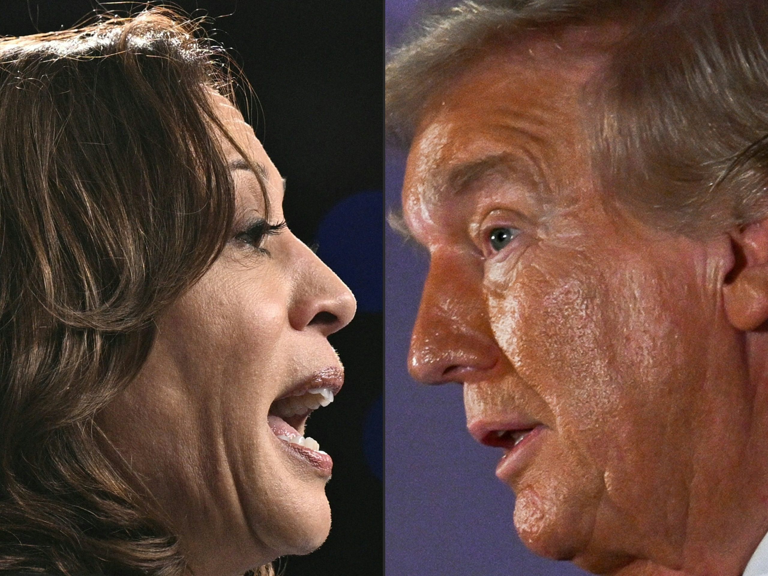 À procura dos 270 delegados para ganhar. Kamala Harris e Donald Trump queimam últimos cartuchos eleitorais