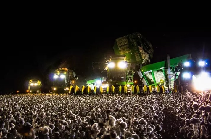 Campo de algodão ou festival de música? Há uma foto a confundir a Internet