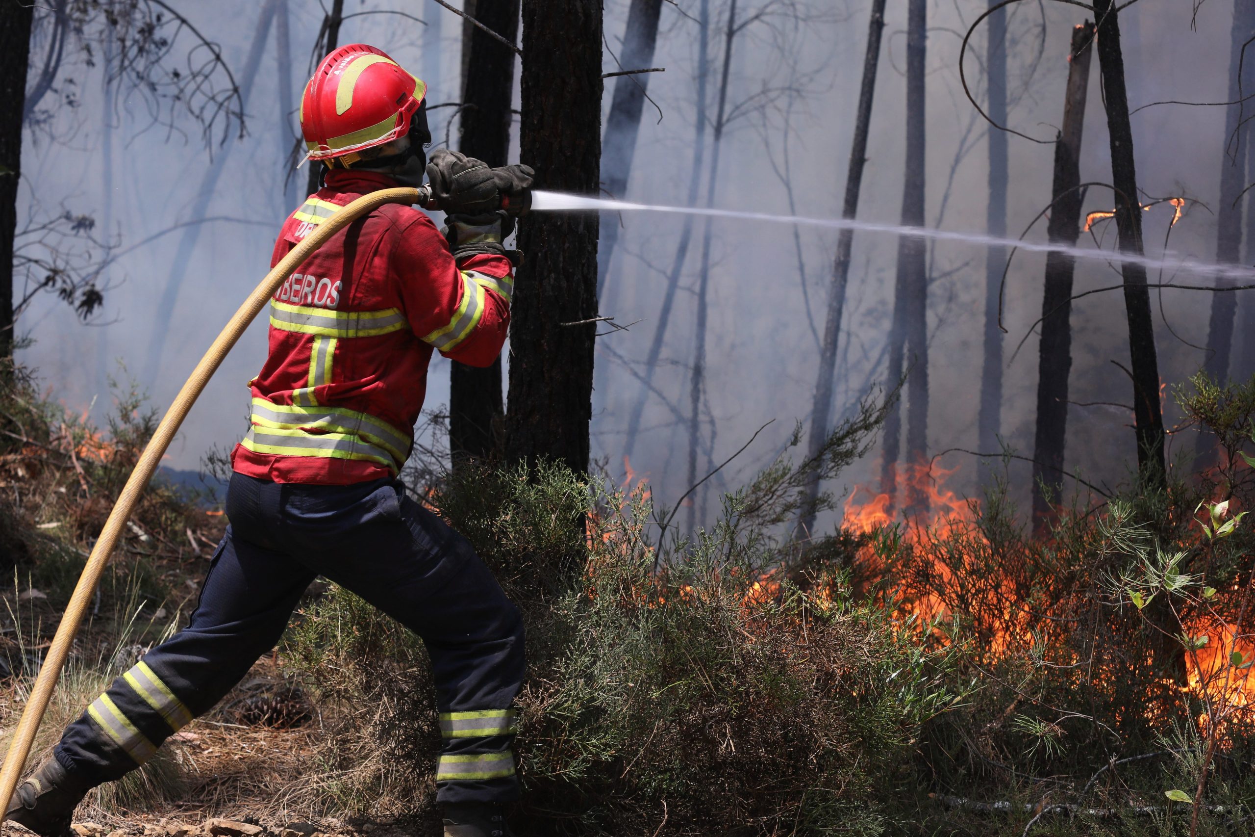 Viseu: Chamas em Mangualde combatidas por de 143 operacionais