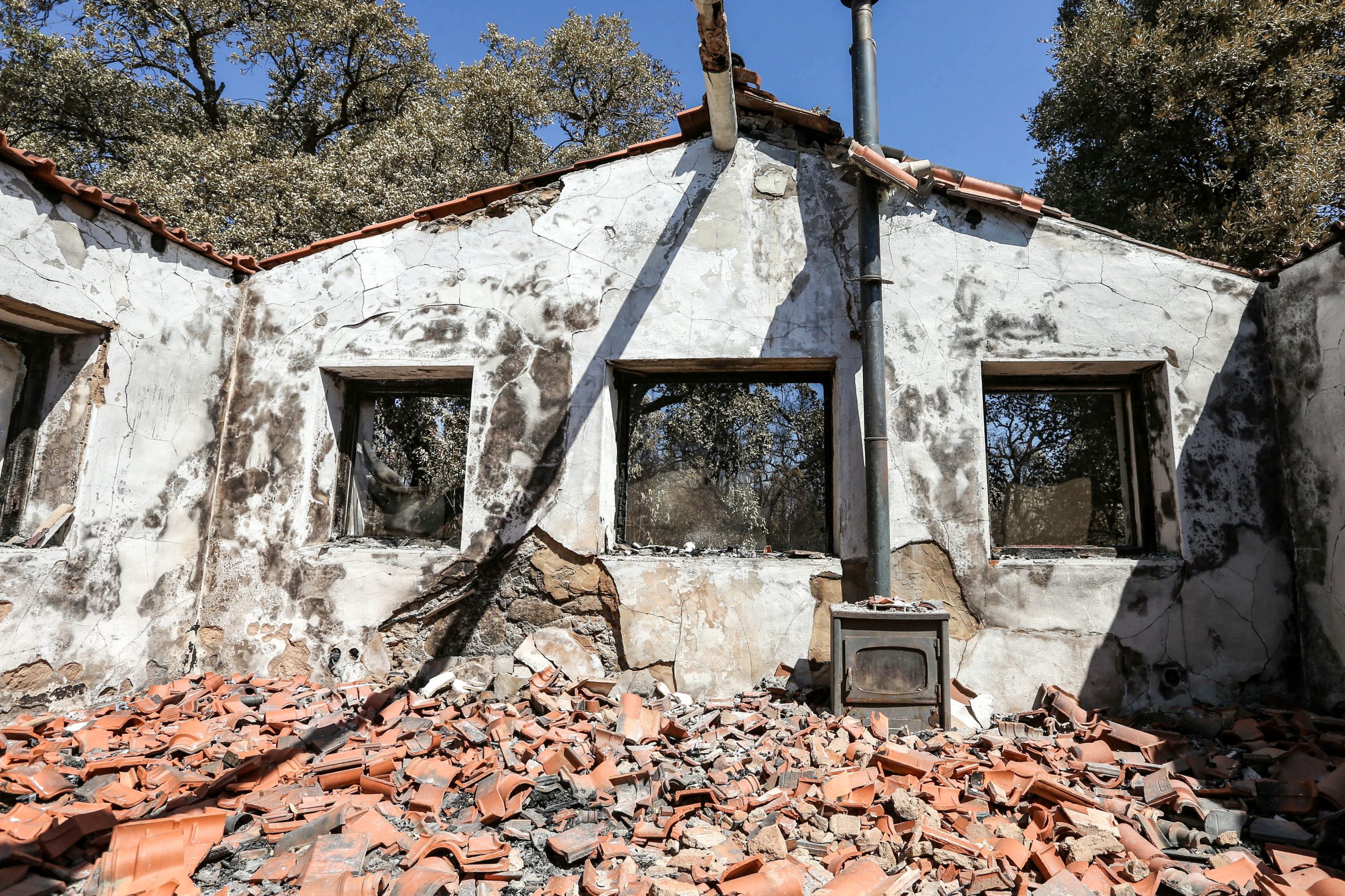 Incêndios 2017. Governo pagou até ao momento 67 milhões de euros de ajuda aos agricultores afetados
