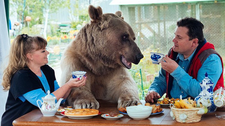 Casal russo adotou um urso. E vivem juntos há 23 anos