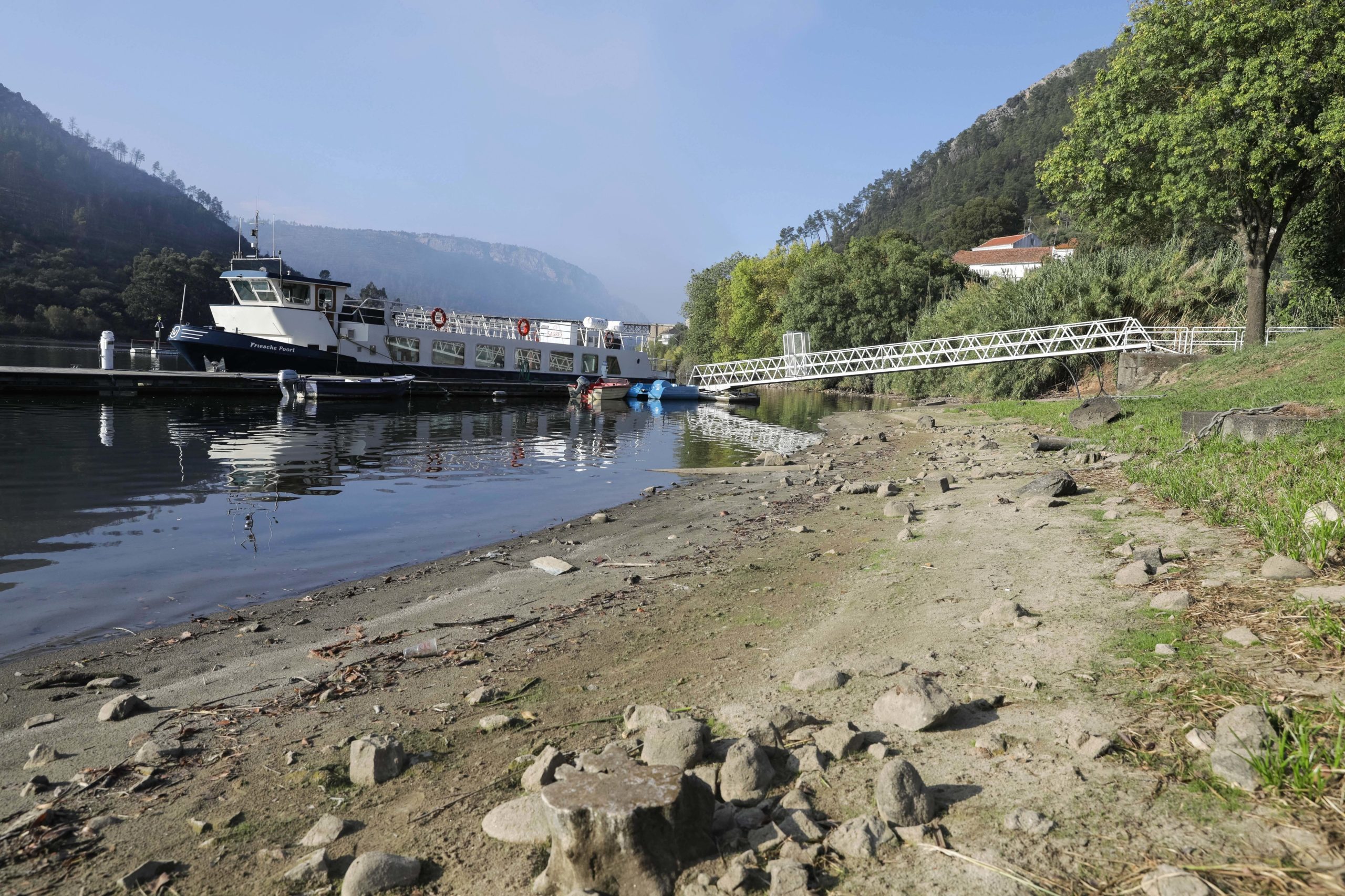 Baixos caudais no Tejo colocam produção agrícola em risco em Abrantes e Constância