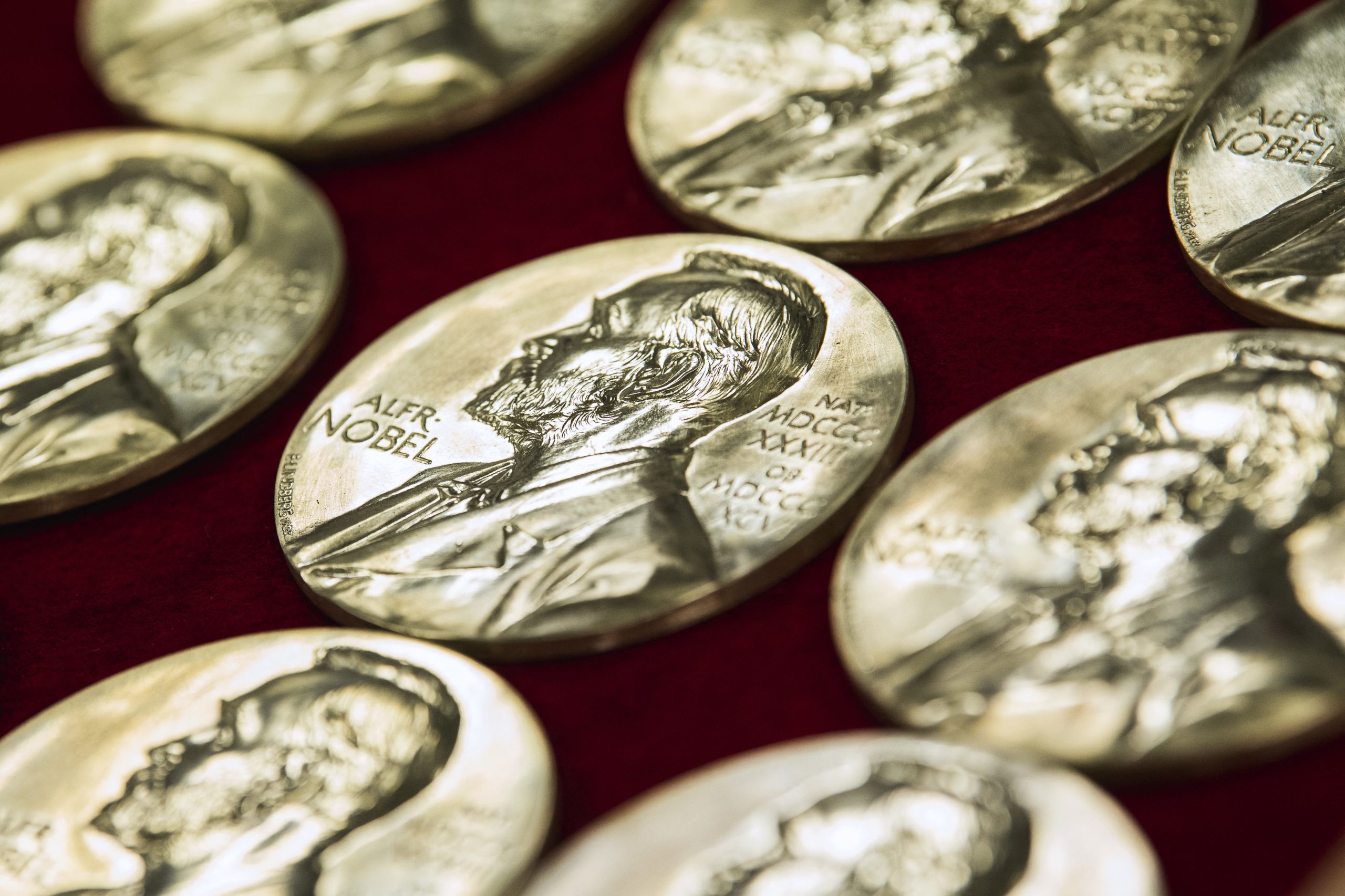 À procura dos prémios Nobel e das suas inspirações pela Feira do Livro de Lisboa