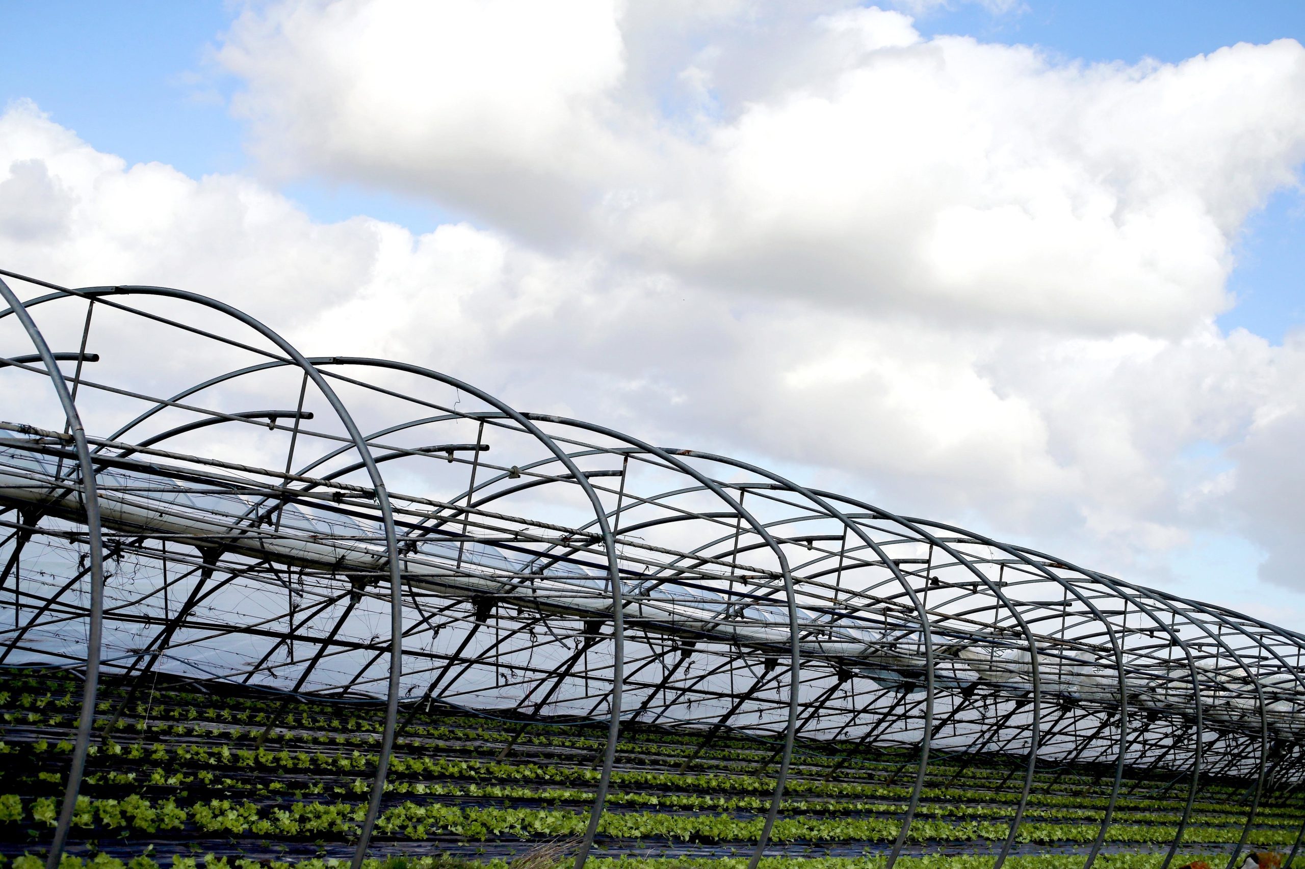 Já foi pedido levantamento dos estragos na agricultura devido ao mau tempo