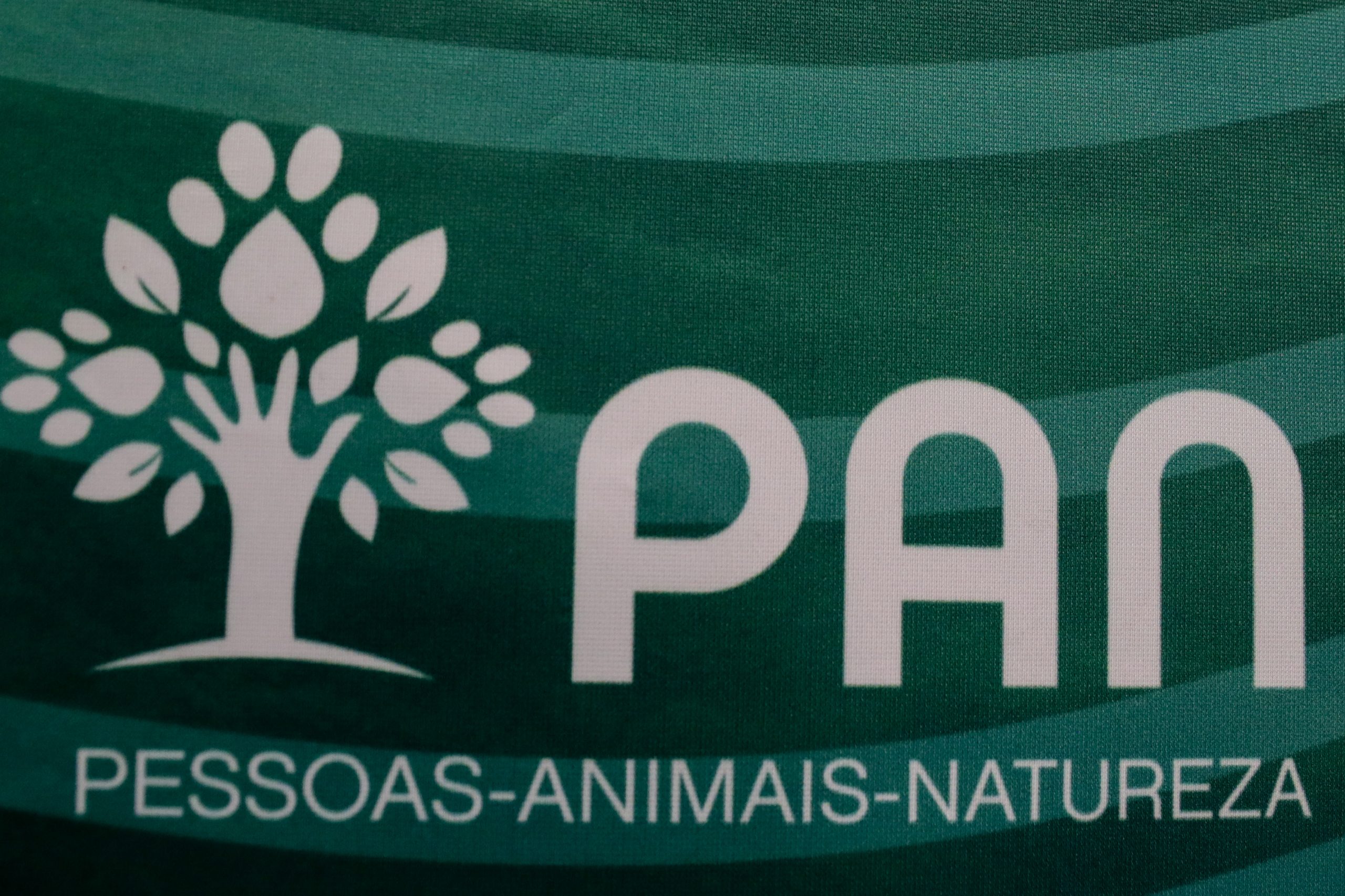 Candidato a líder quer alargar prioridades do PAN e critica “discurso redondo”