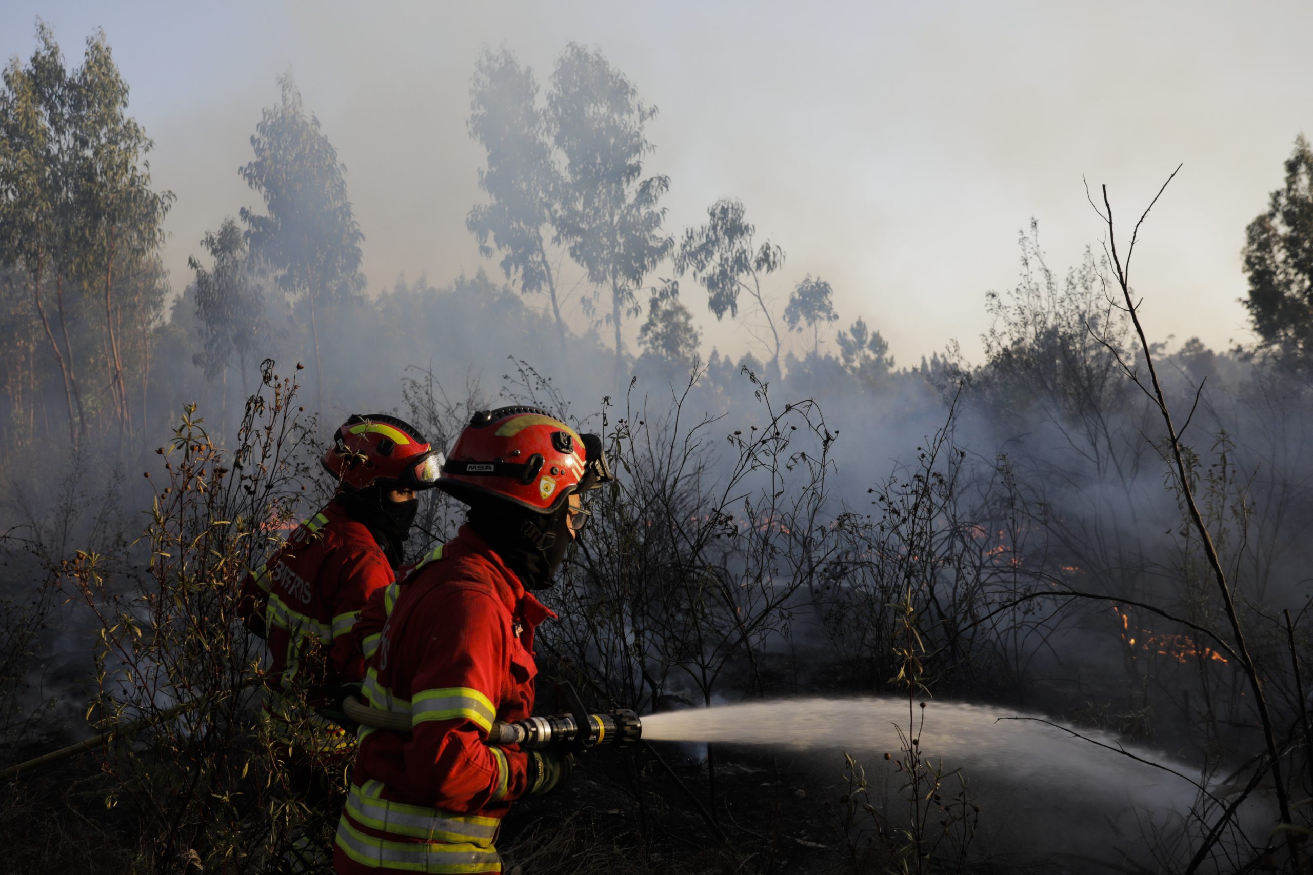 Dominado incêndio no concelho do Sabugal