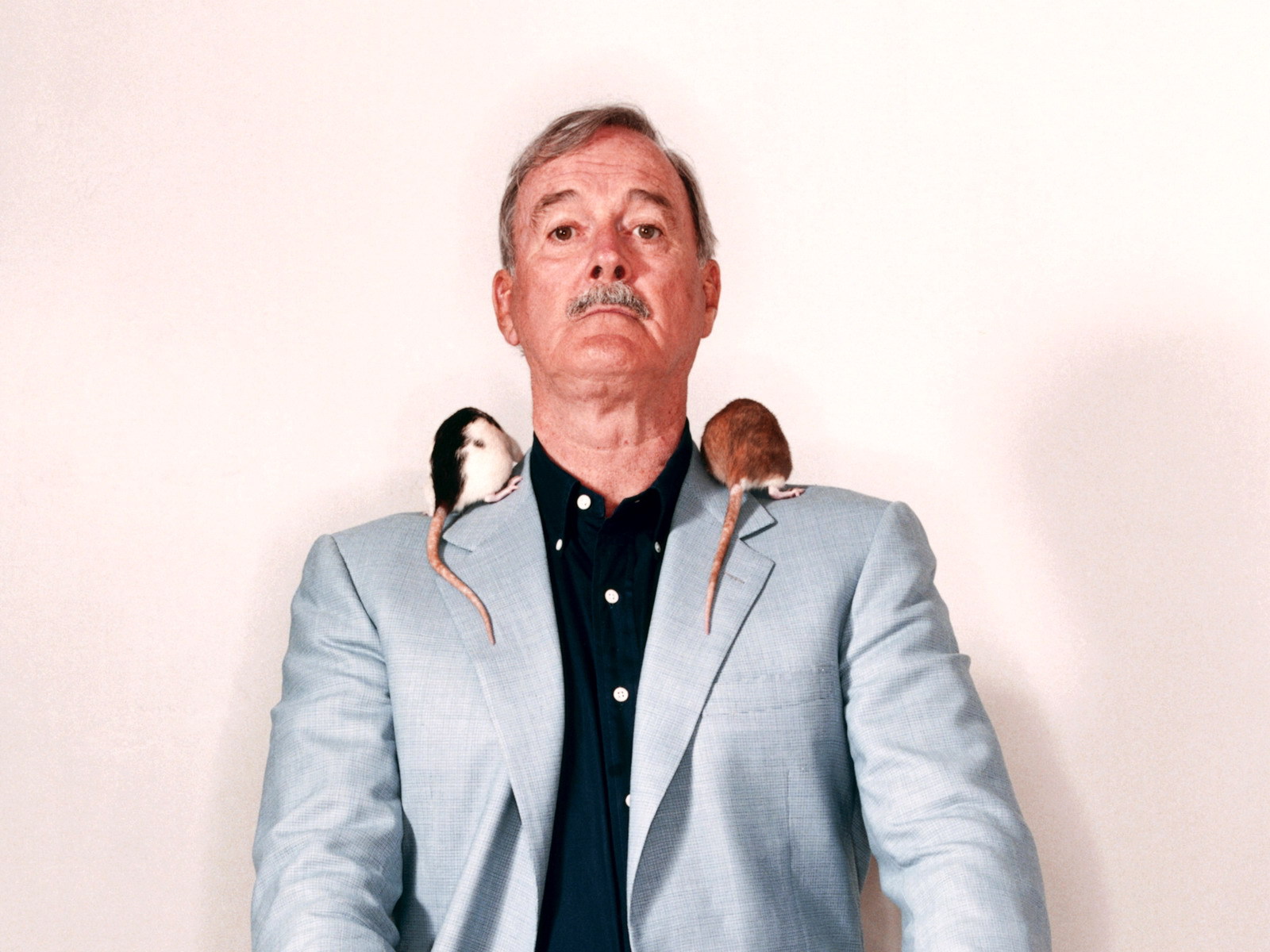 40 anos depois, John Cleese está de volta à BBC