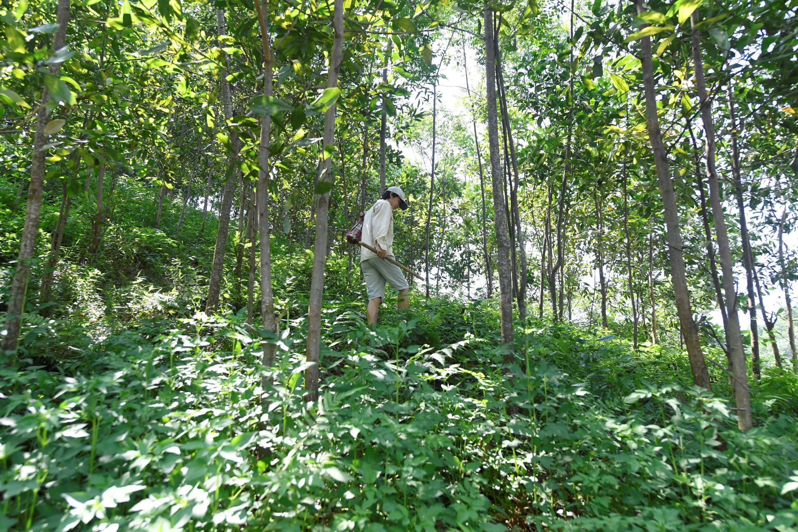 Menino de seis anos é encontrado vivo em floresta no Vietname após cinco dias desaparecido