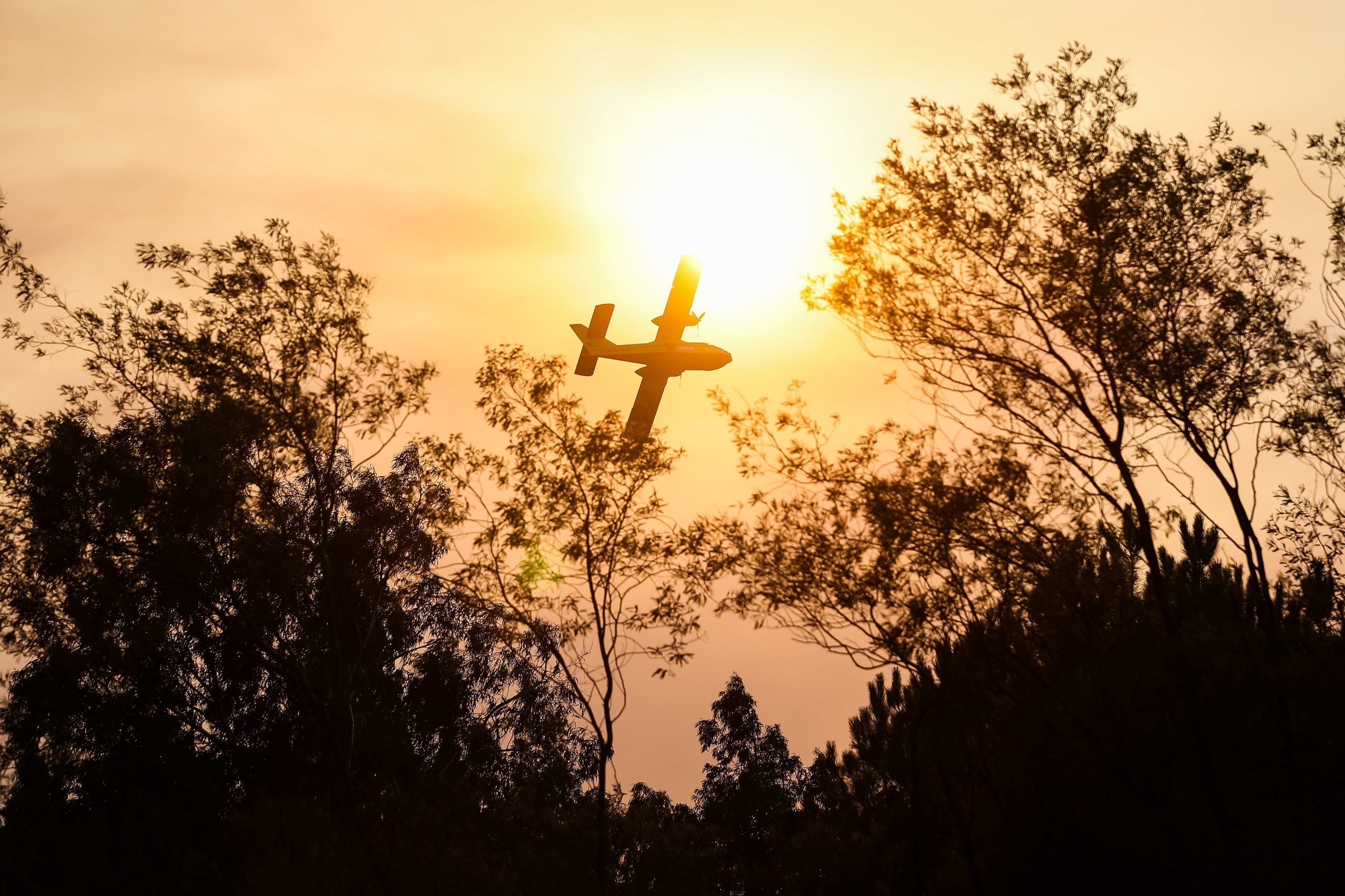 Máximas podem chegar aos 37ºC. Nove concelhos em risco máximo de incêndio