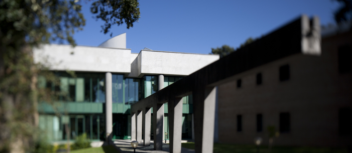 Estudantes indignados com reintegração de docente despedido por assédio no Politécnico do Porto