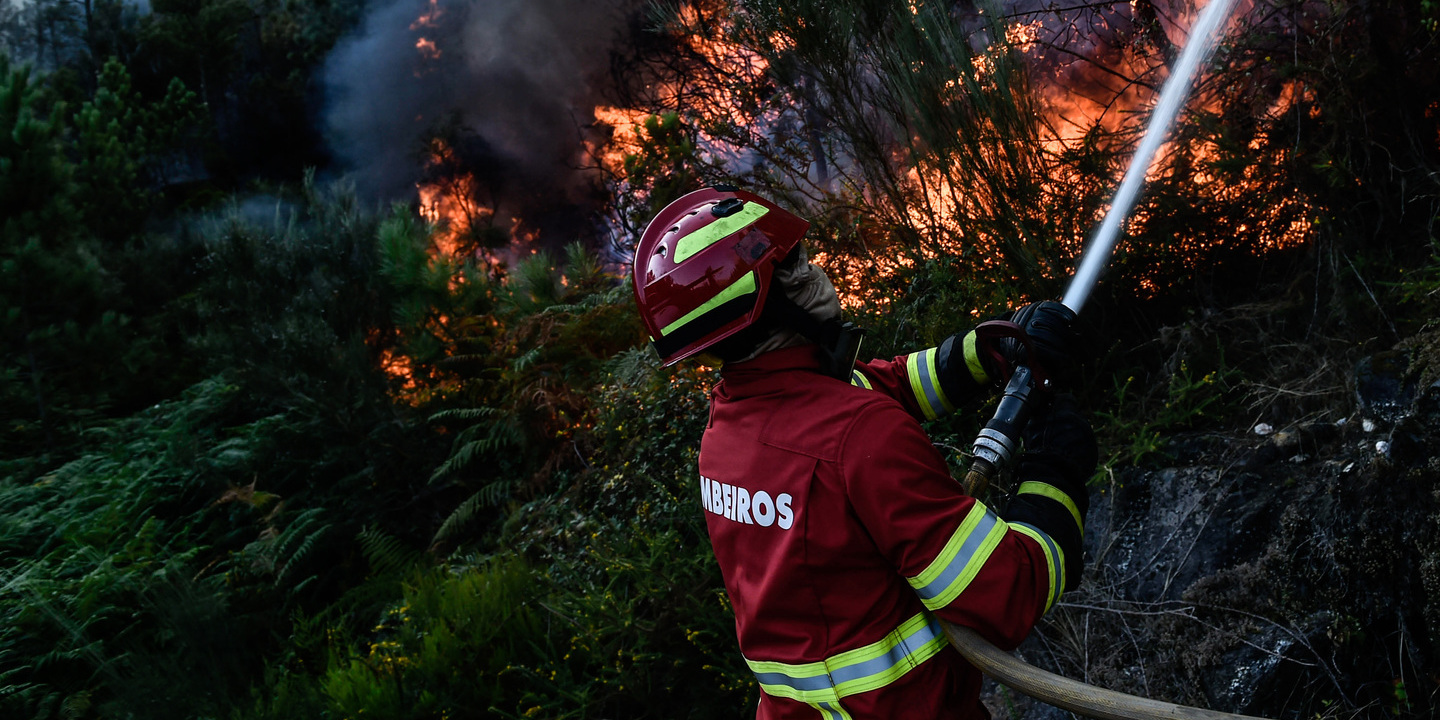 Reativação do fogo em Castelo Branco dominada