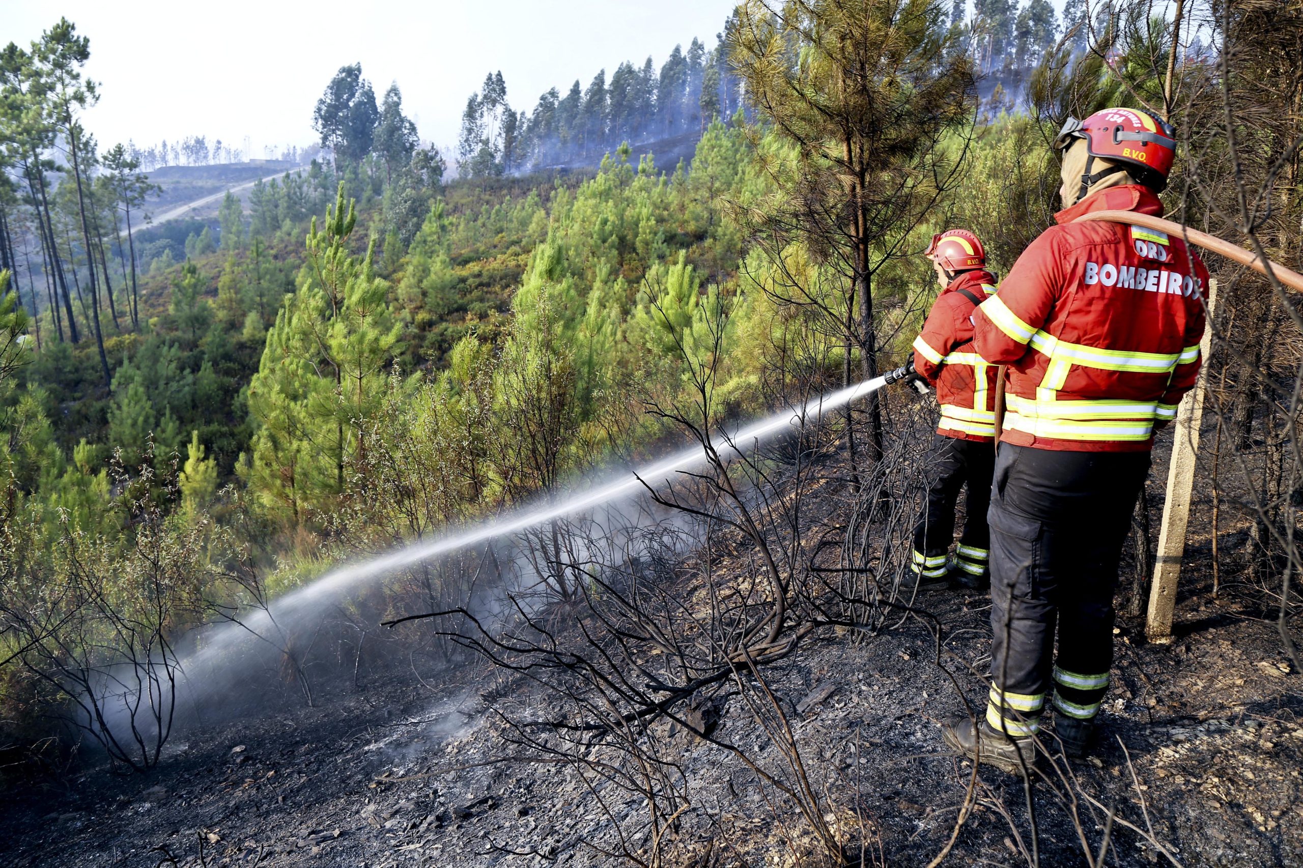 Incêndio em Figueiró dos Vinhos mobiliza quase 100 elementos e um meio aéreo