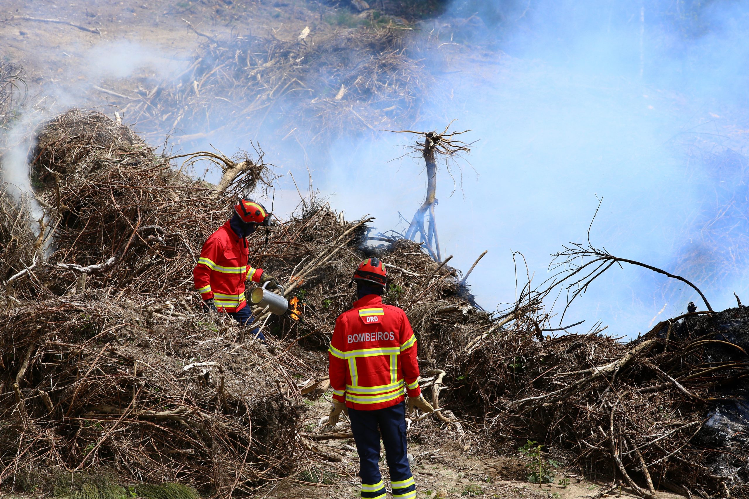 Incêndios: Governo proíbe queimadas até terça-feira
