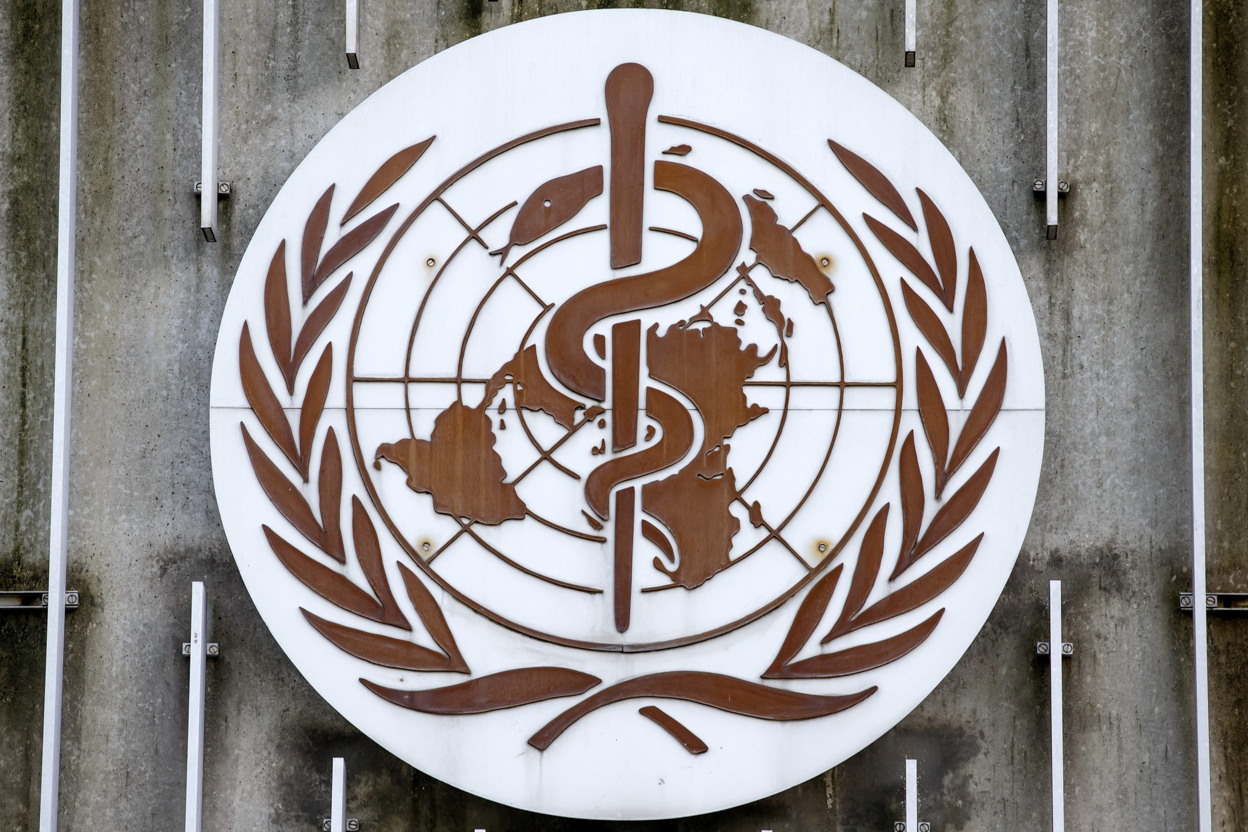 OMS convoca reunião de urgência sobre surto de febre hemorrágica na Guiné Equatorial