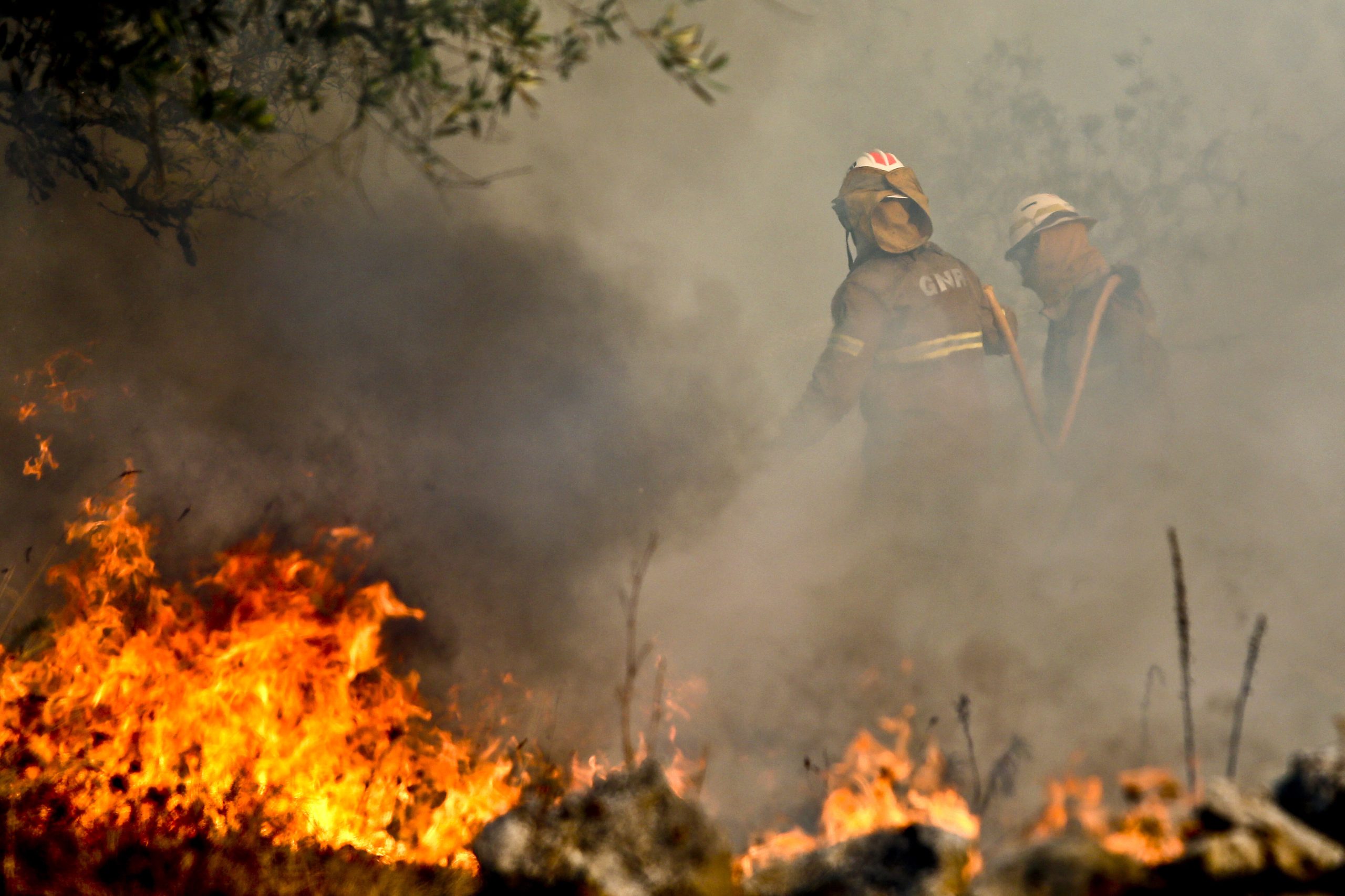 Incêndios: Montalegre “campeão” em ocorrências e área ardida em 2019