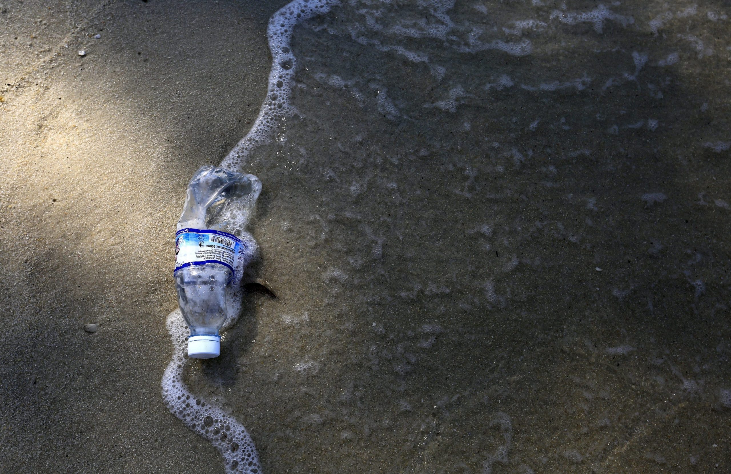 Baleia morre depois de engolir mais de 80 sacos de plástico no mar da Tailândia