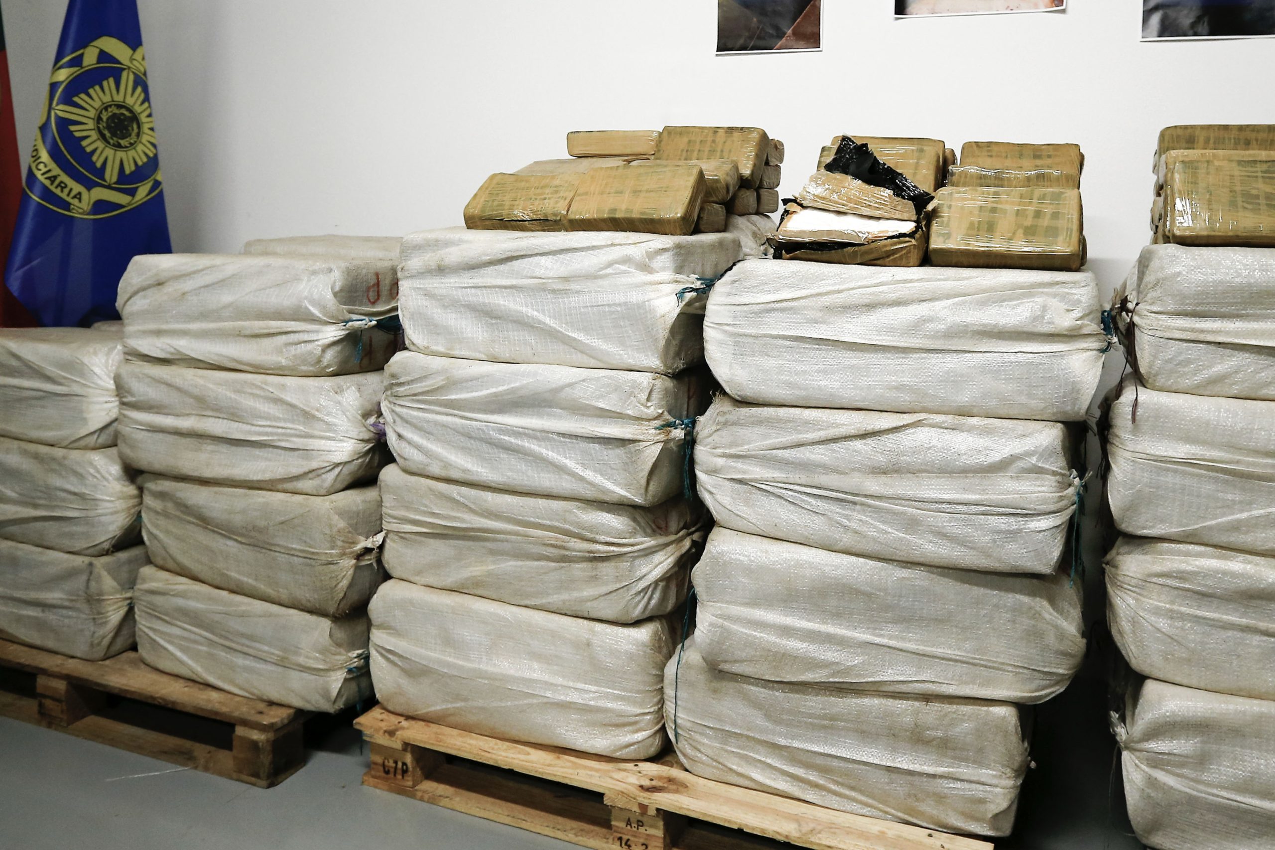 PJ apreendeu mais de duas mil doses de cocaína na região de Coimbra