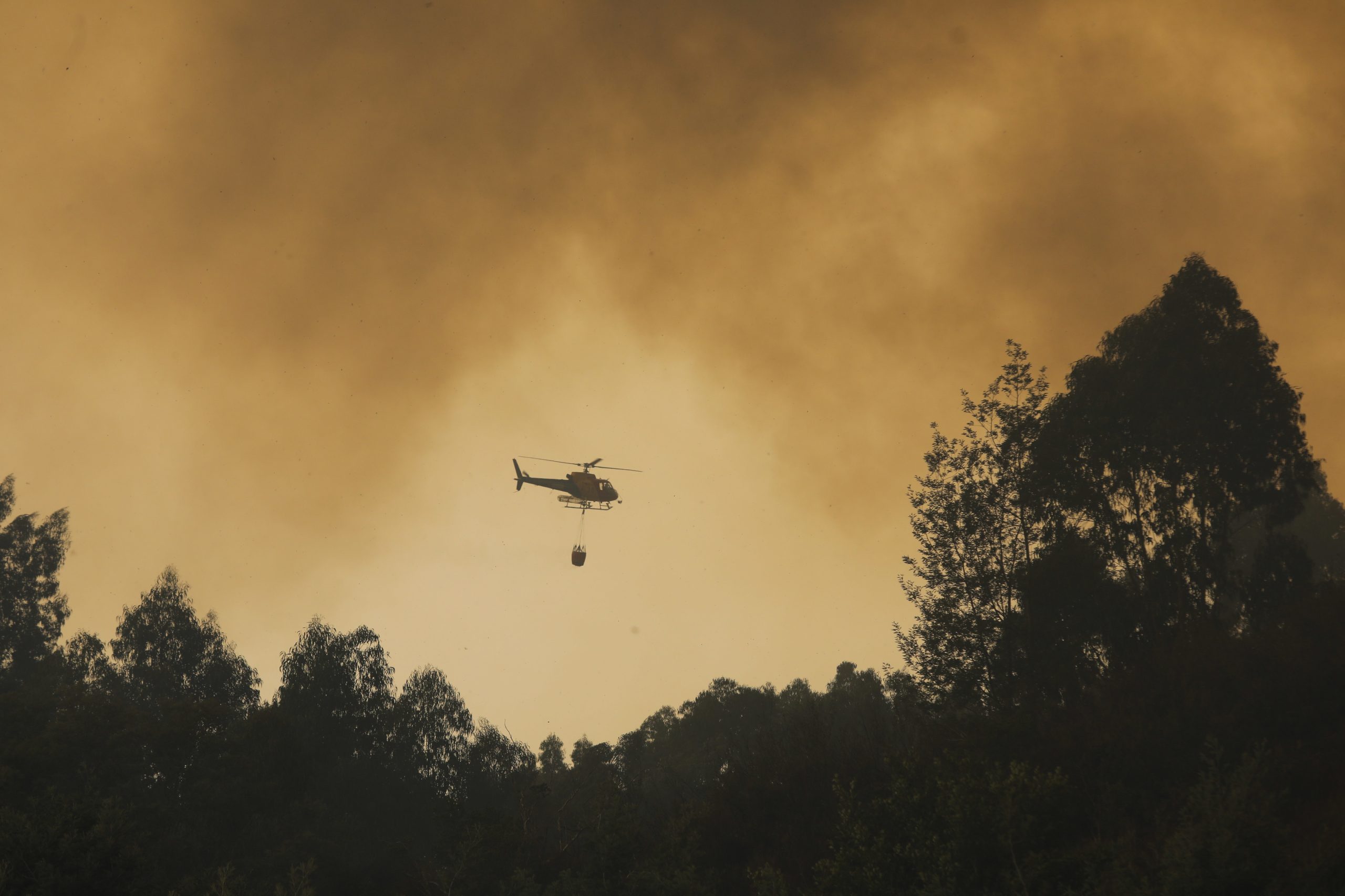 Disponíveis 33 meios aéreos de combate a incêndios dos 60 previstos