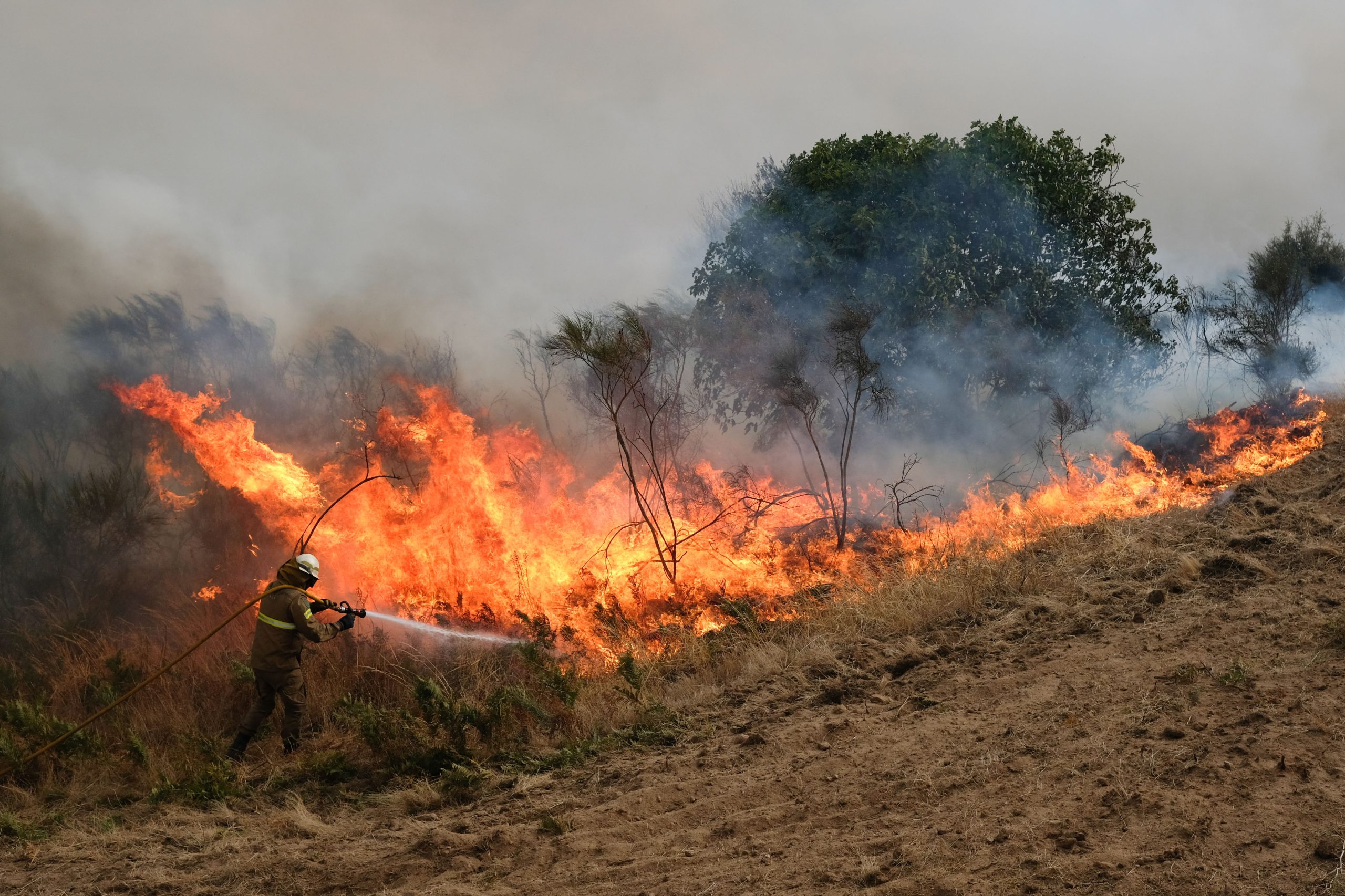 Incêndios: Dezasseis casas reconstruídas casas nos concelhos de Seia e Gouveia