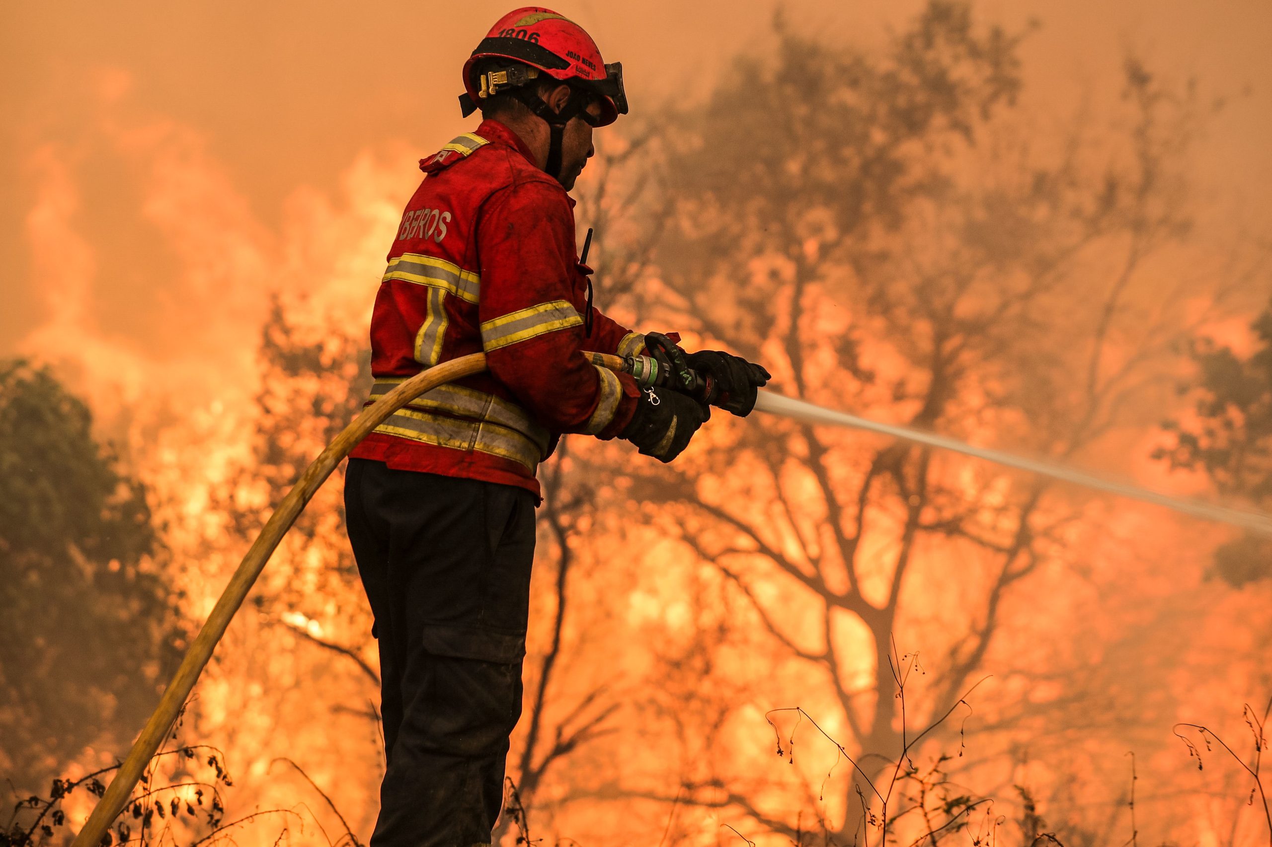 Incêndios: Cento e vinte proprietários agrícolas com prejuízos em Pombal