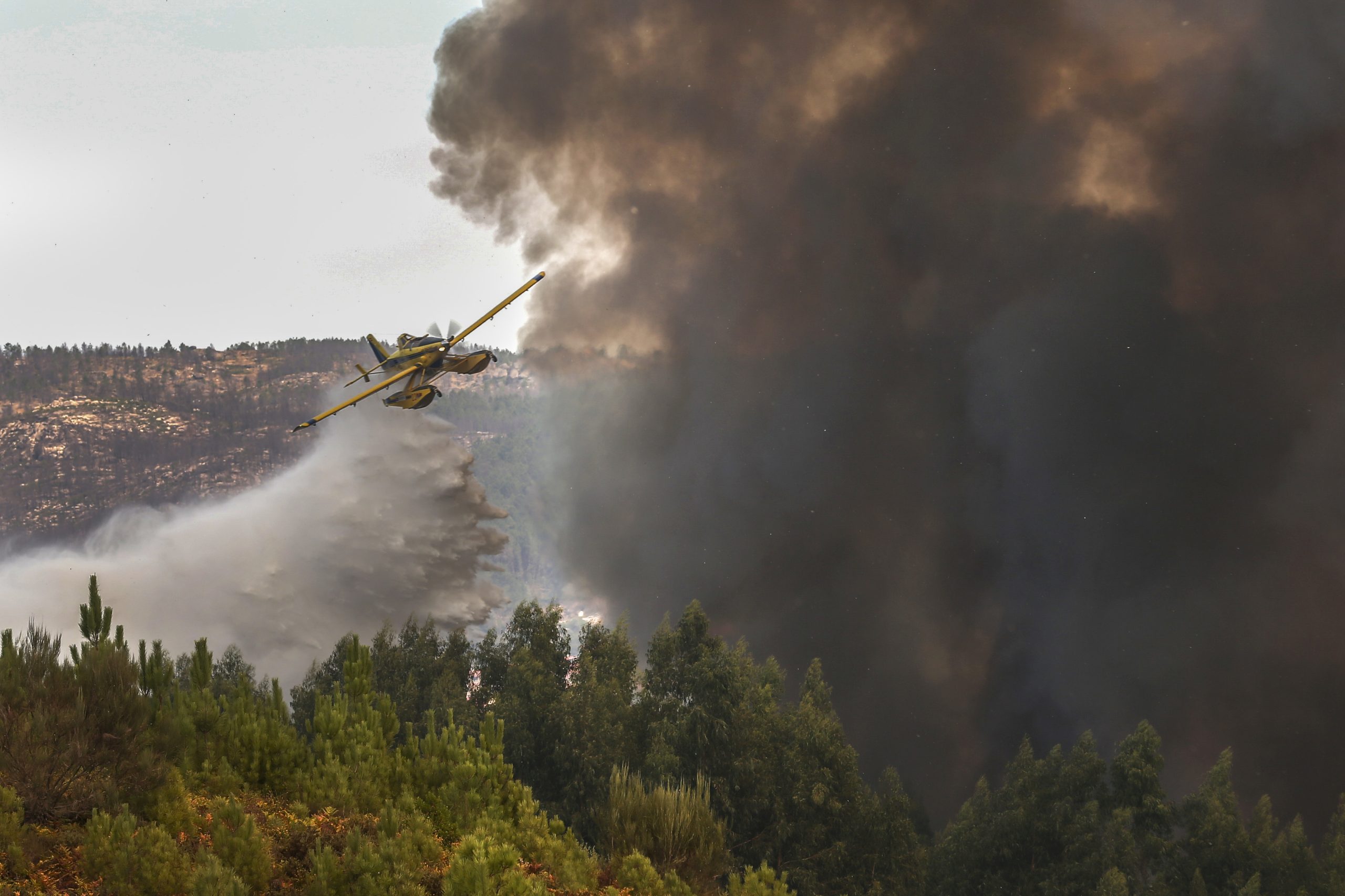 Incêndios: Especialistas em debate preocupados com eficácia dos planos municipais