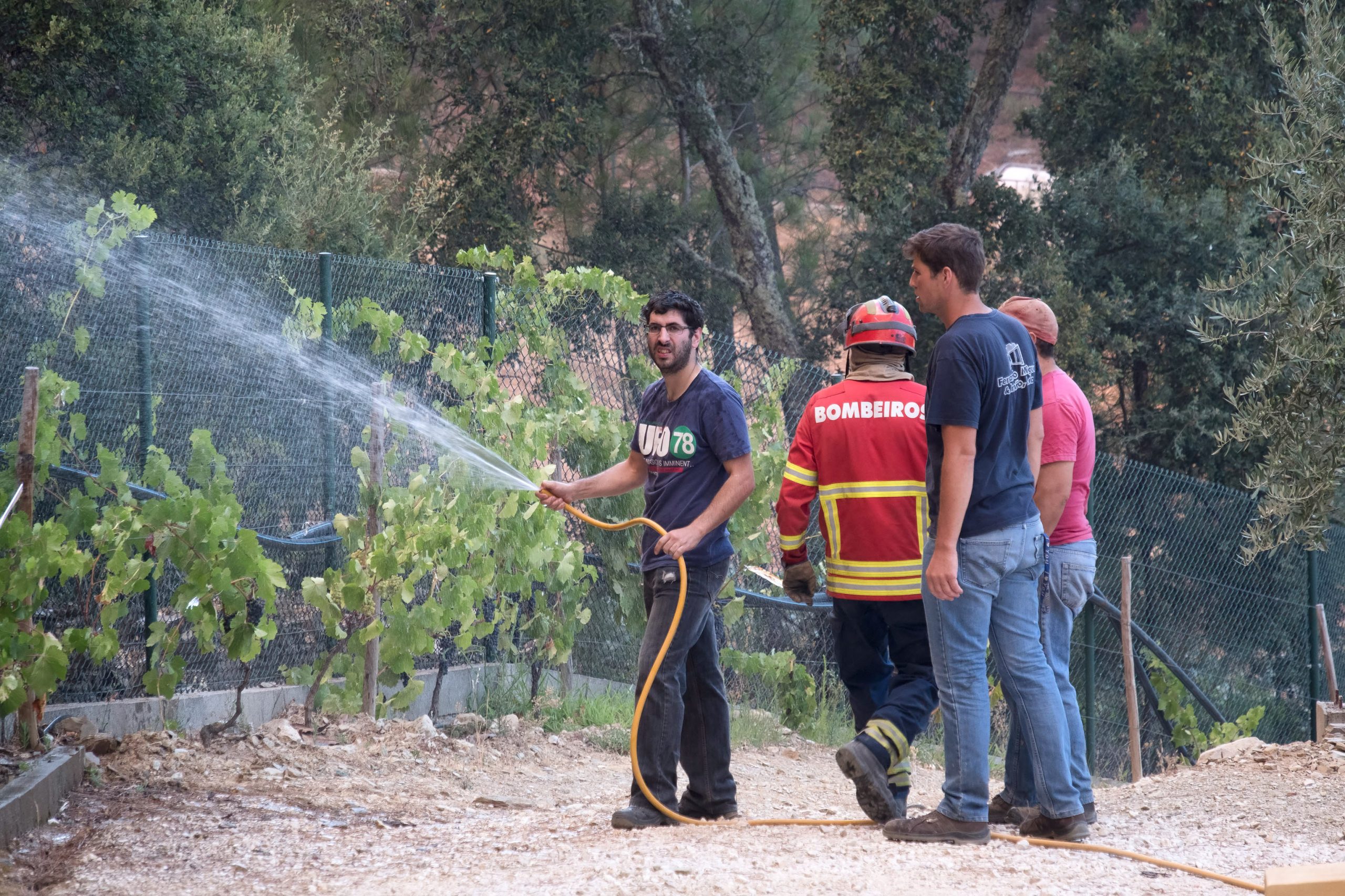 Incêndios: Reacendimentos em Proença-a-Nova controlados eficazmente