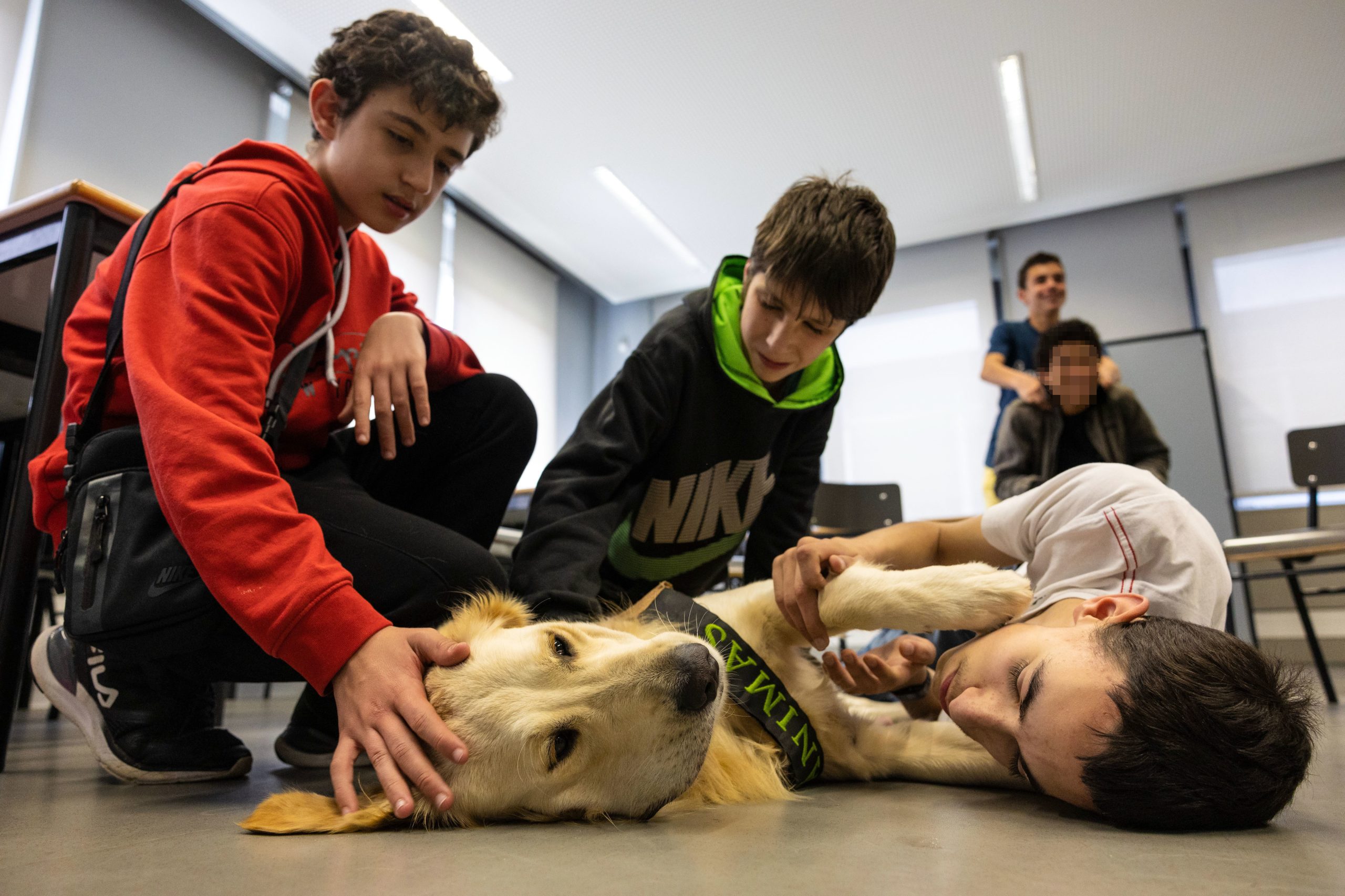 Projeto pioneiro ajuda alunos com dificuldades a melhorar desempenho com cães de assistência