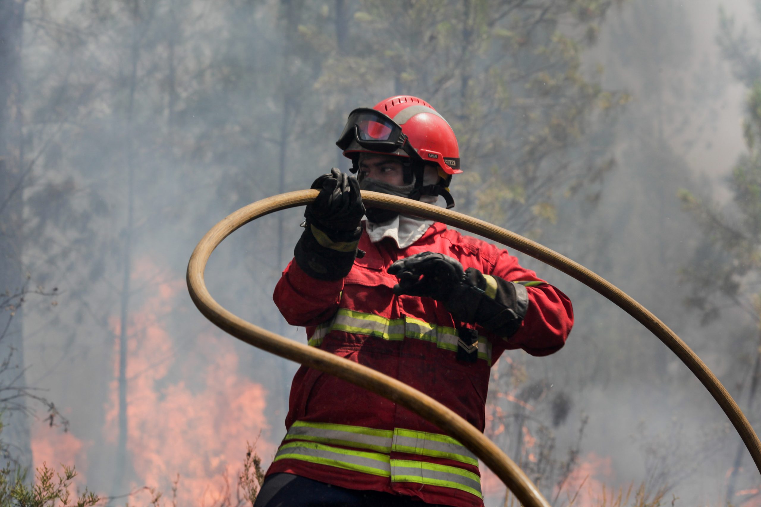 Hoje é notícia. DGS alerta para os riscos do fumo dos incêndios e recomenda precauções