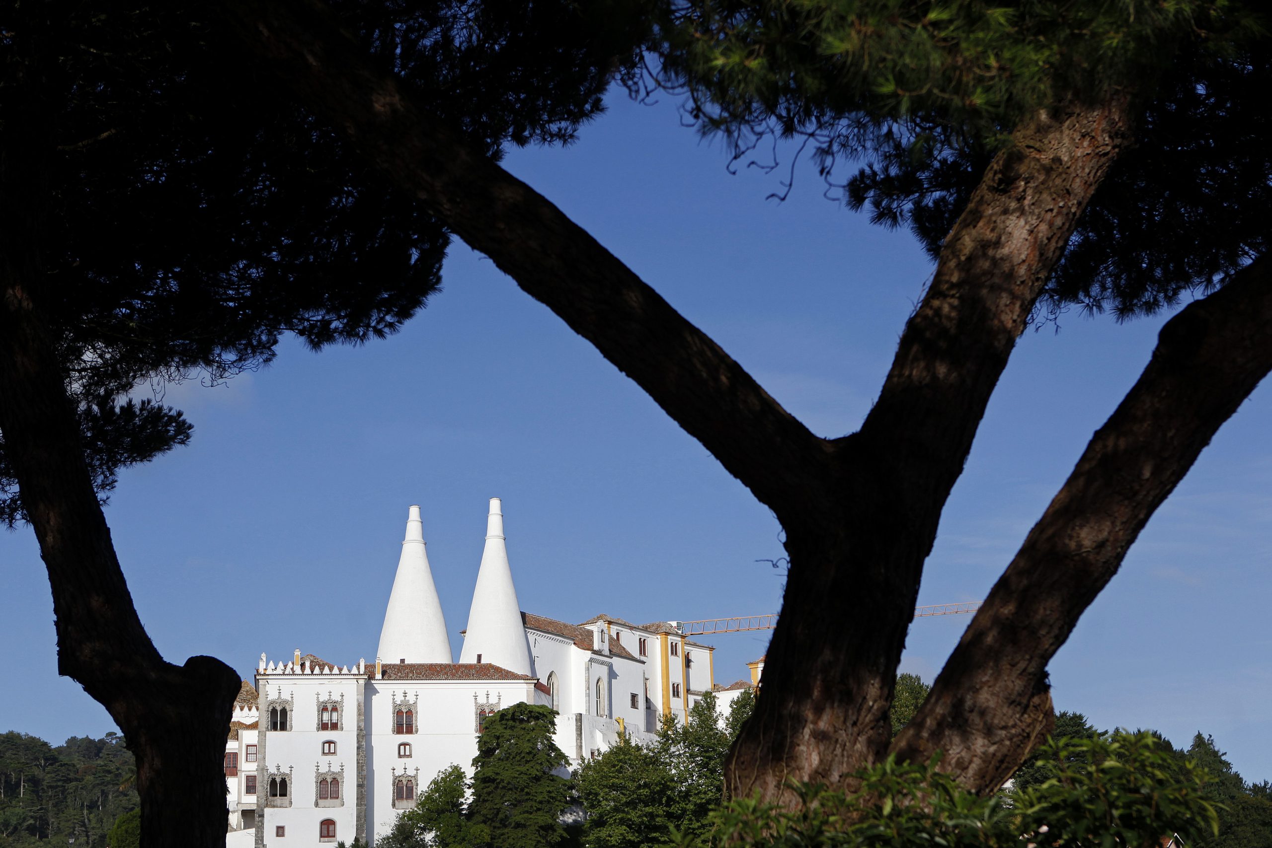 Palácio de Sintra resolve enigma com 200 anos ao descobrir Casa do Conselho de Estado